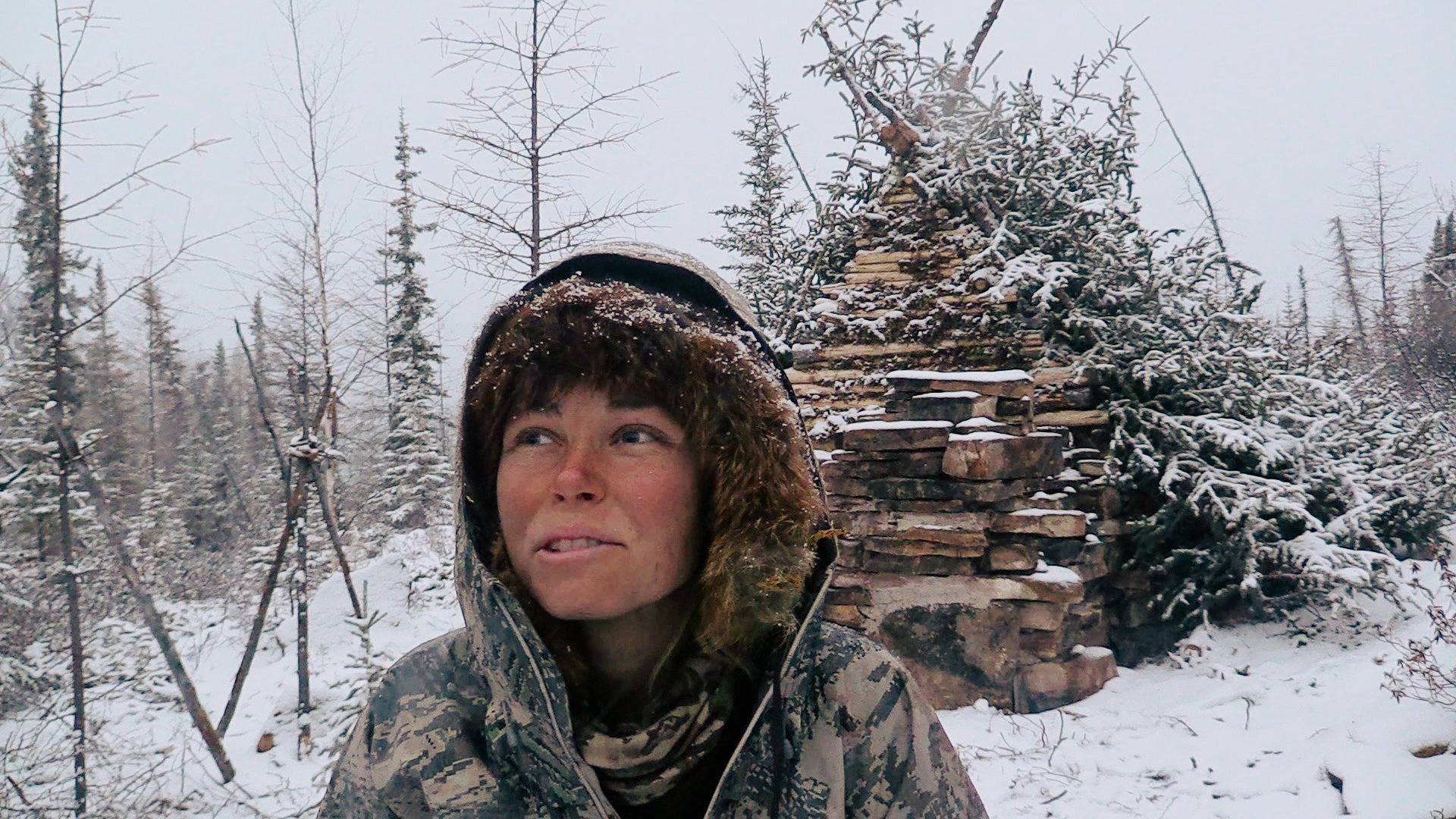 6. Myskoxen