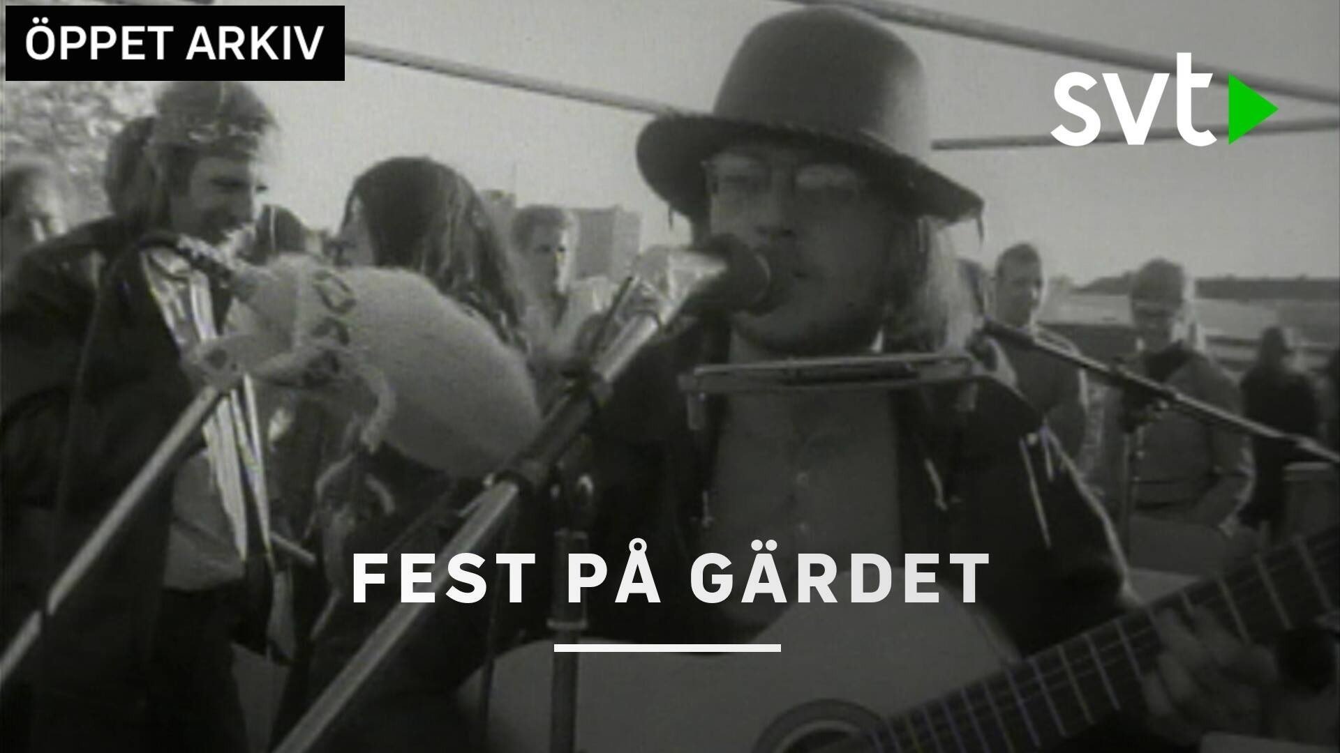 Fest på Gärdet