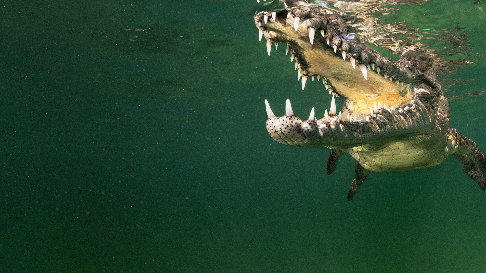 Australia's Land of the Ancients