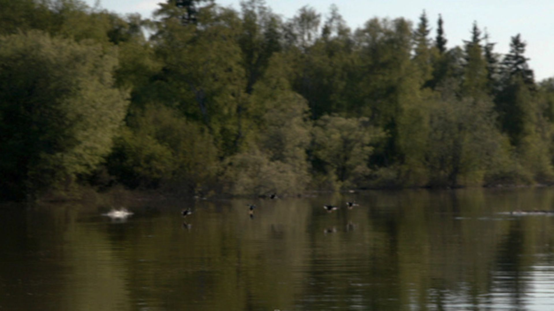 12. Highwater Harvest