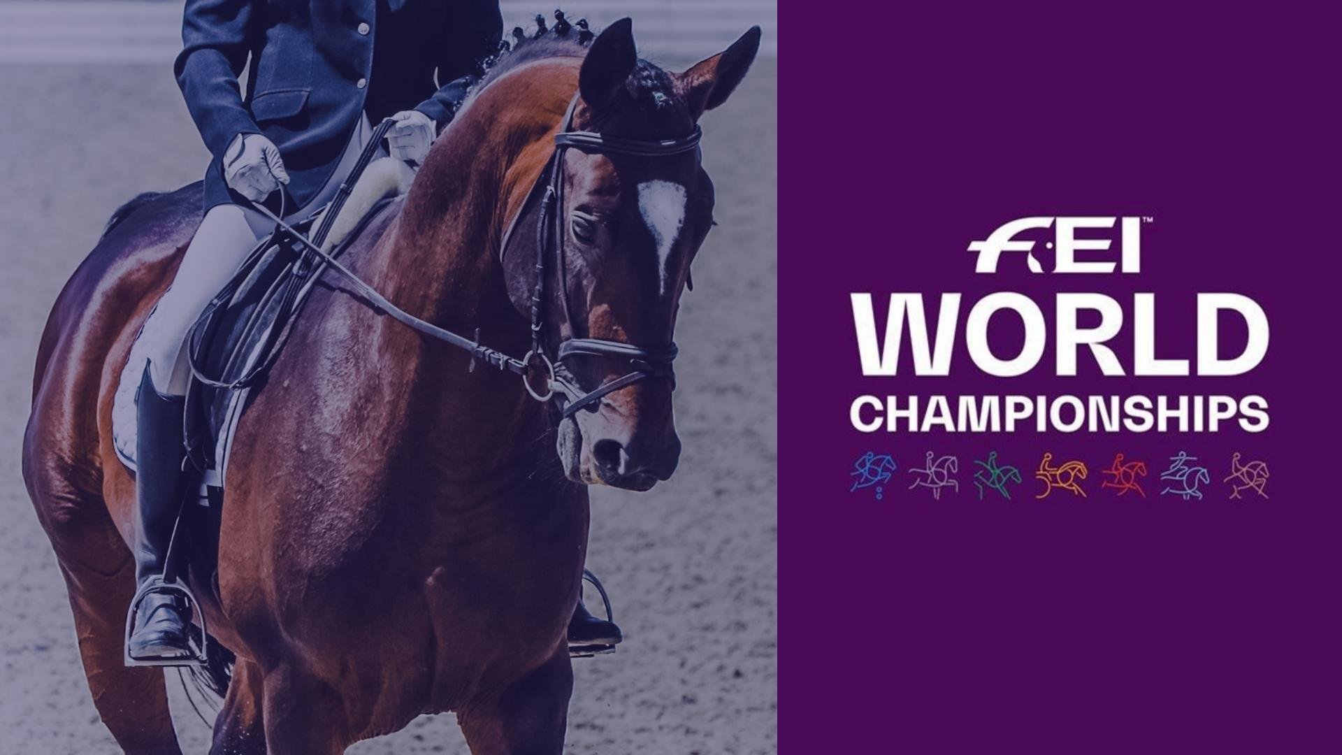 Equestrianism: FEI World Championships