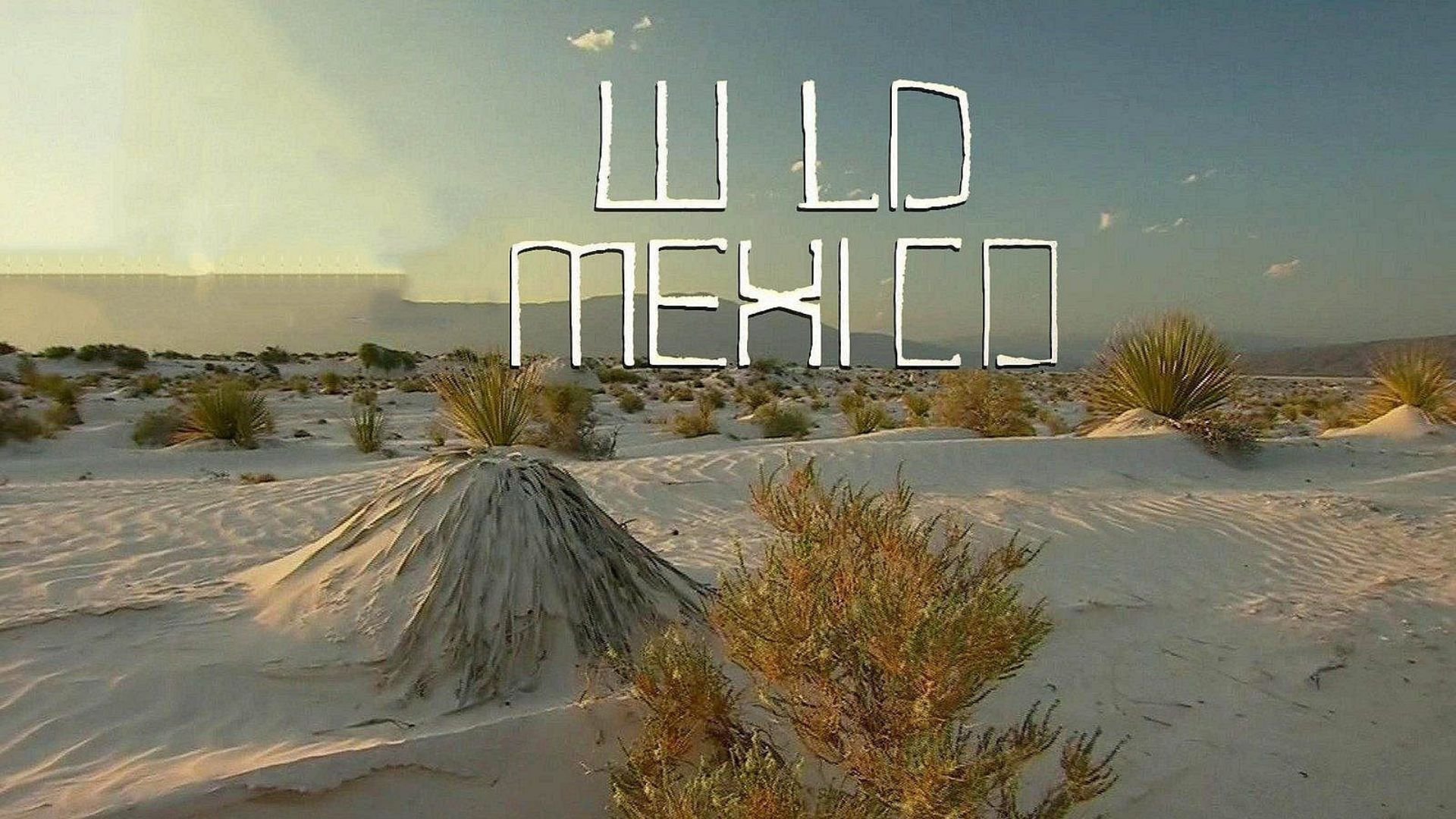 Wild Mexico
