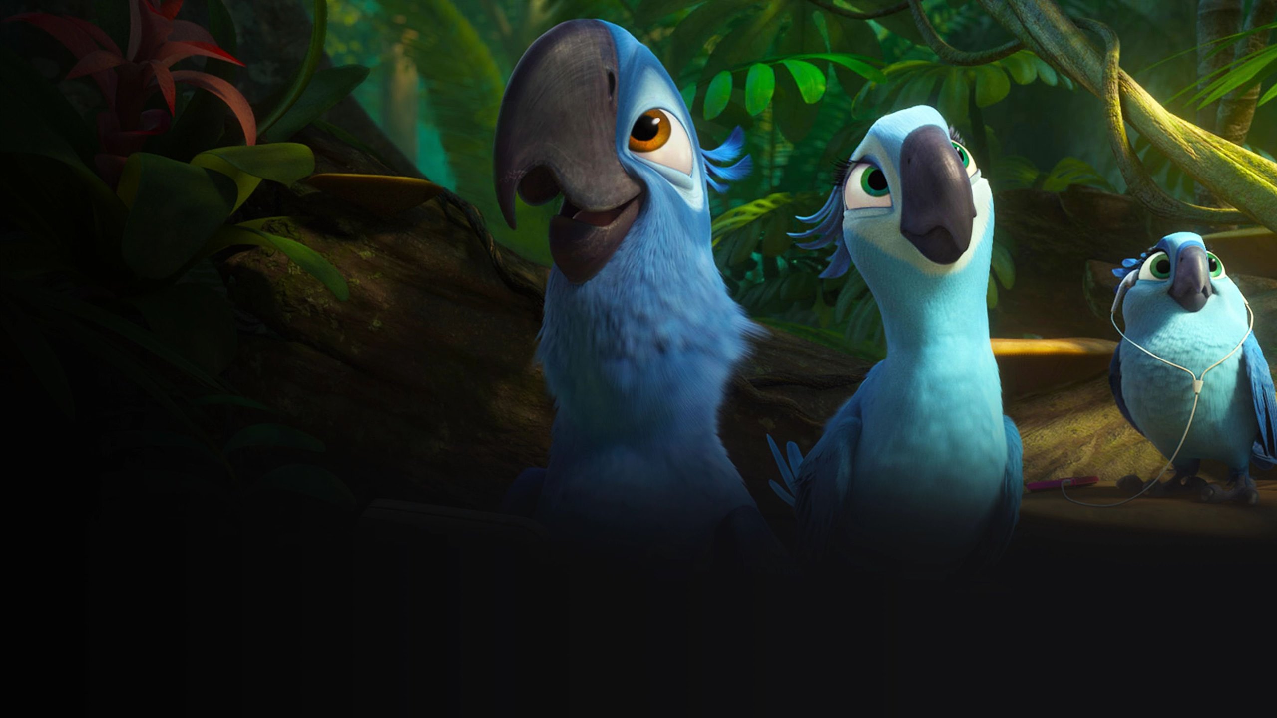 Rio 2