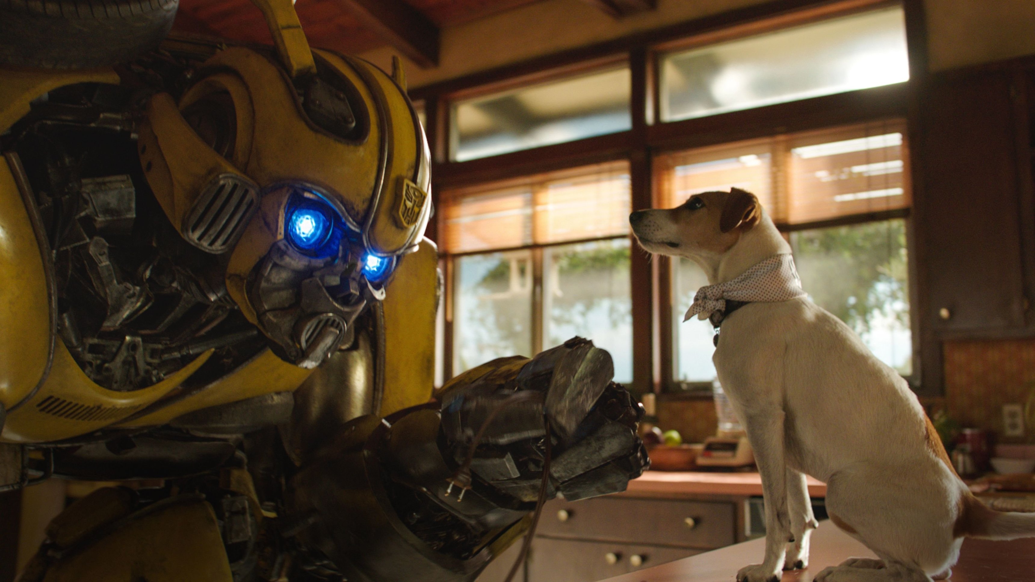 Bumblebee