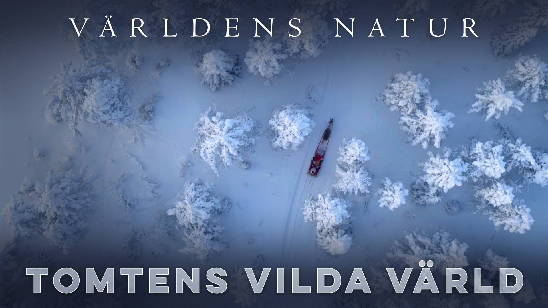 Världens natur: Tomtens vilda värld