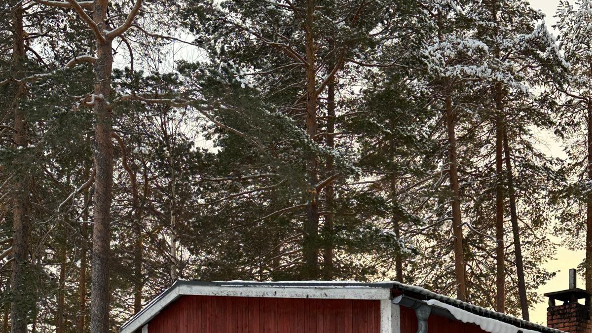 5. Sörsjön
