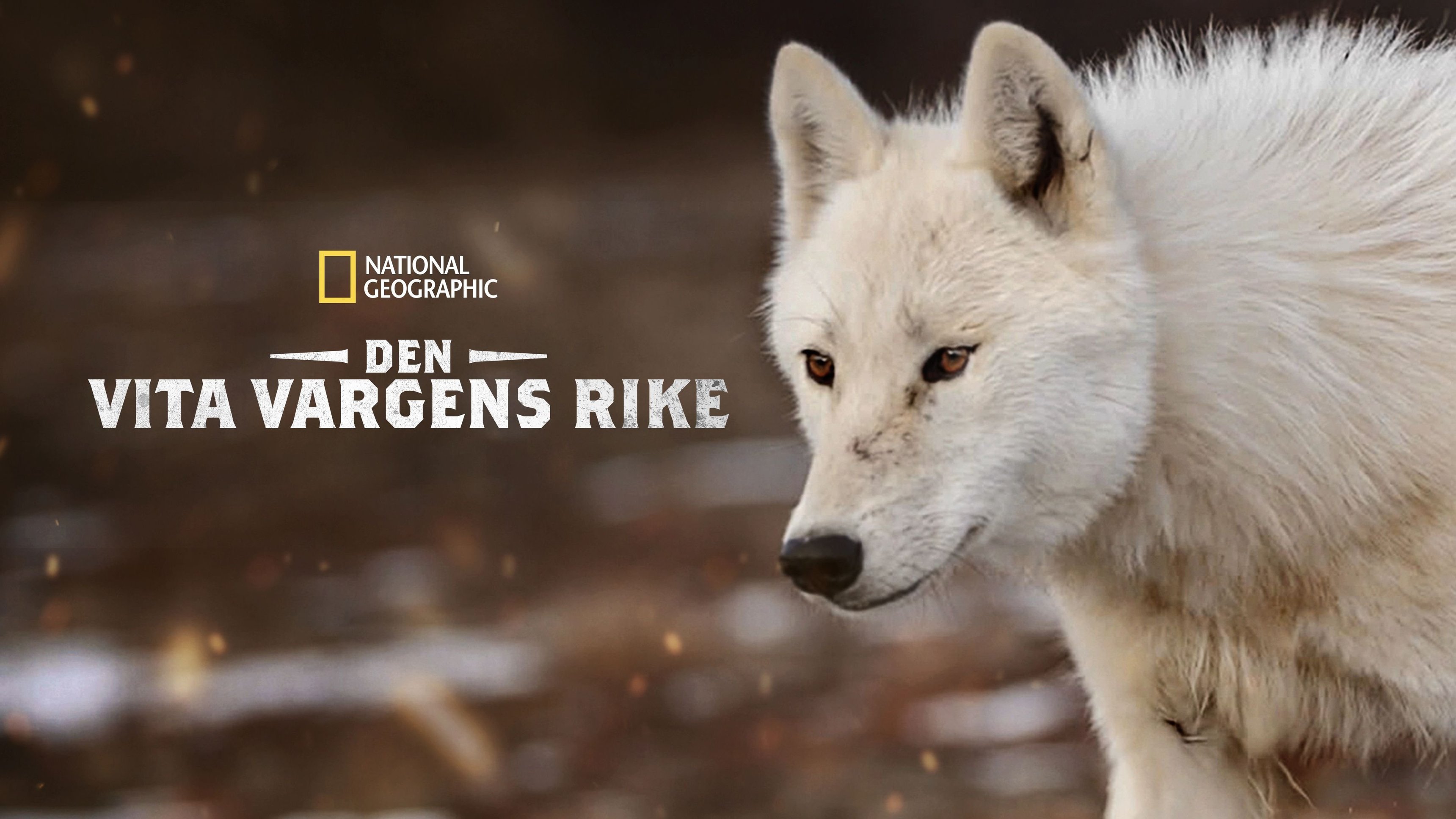 Den vita vargens rike