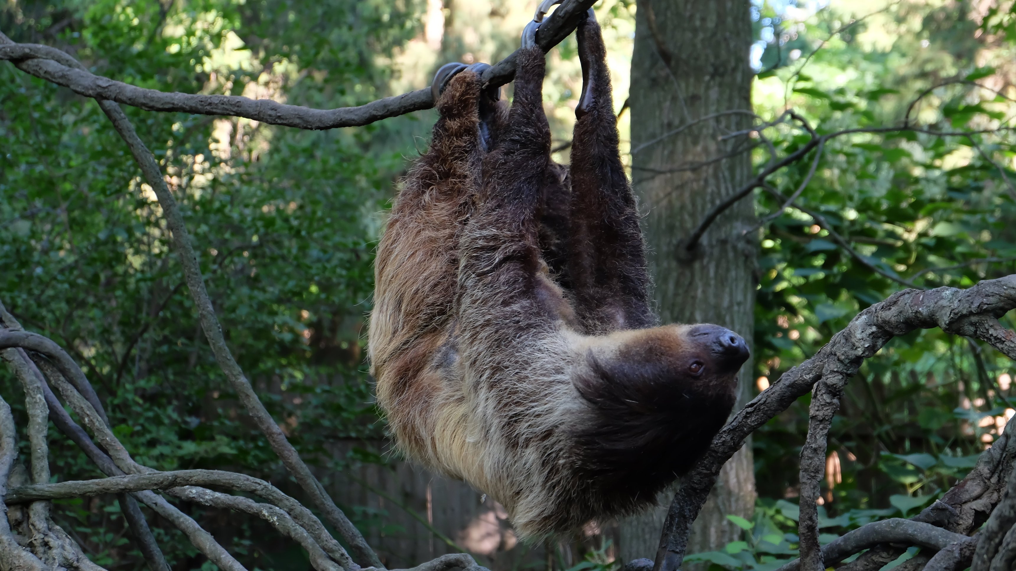 10. Baby Bunnies, Big World