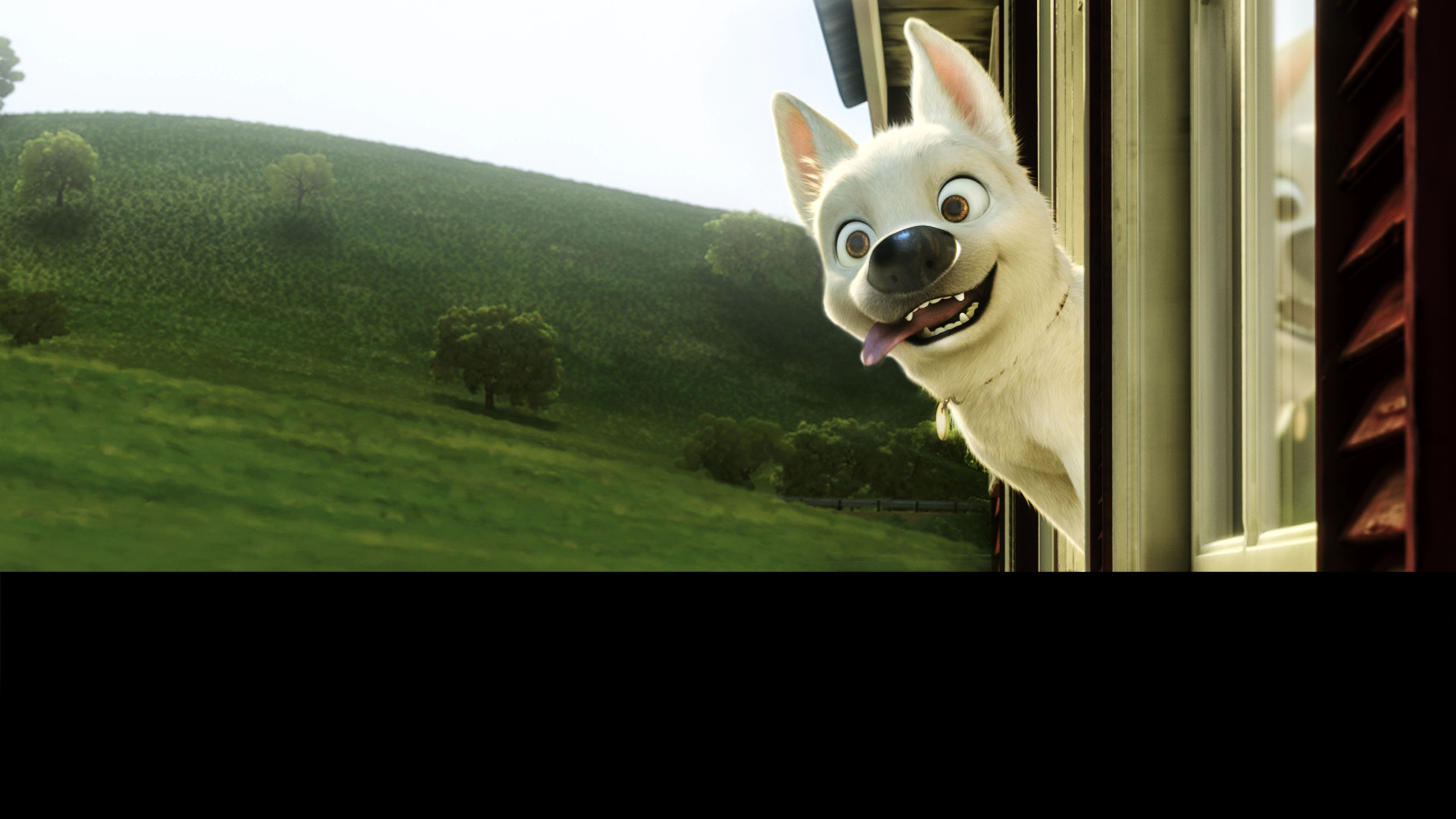 Bolt