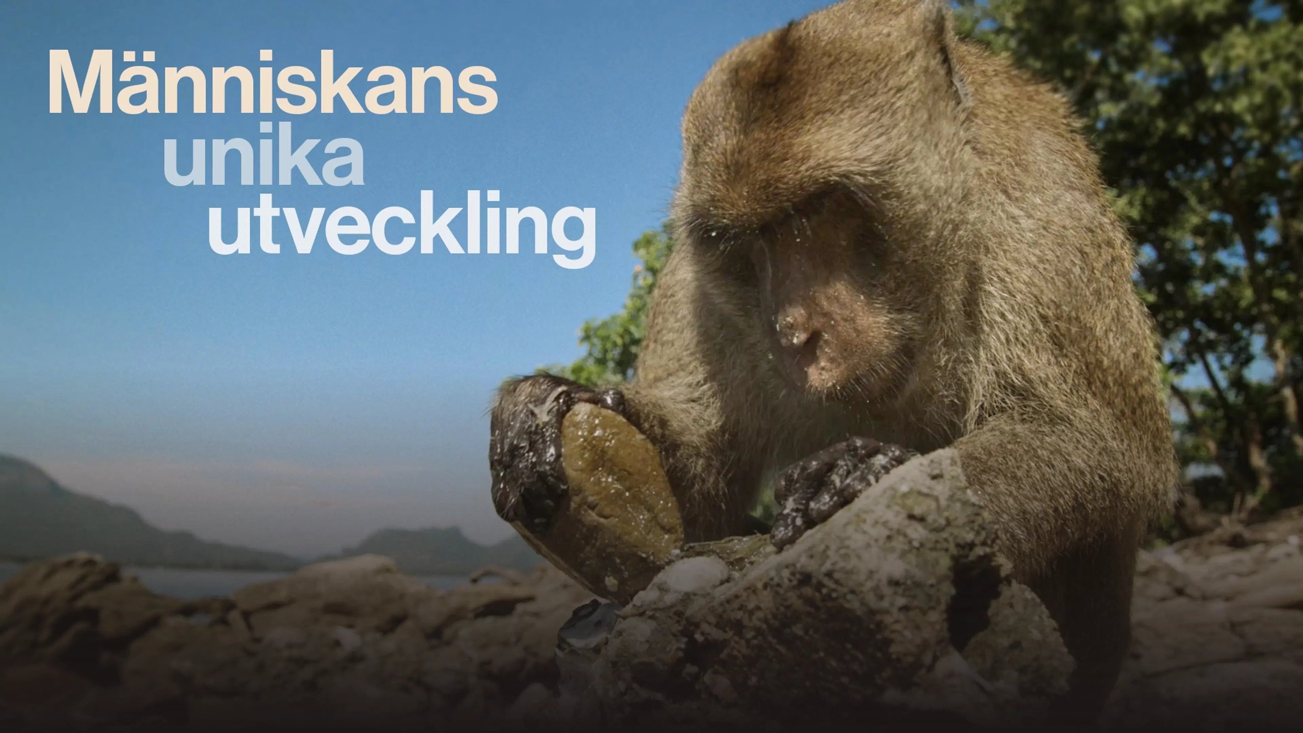 Människan och skrivandet