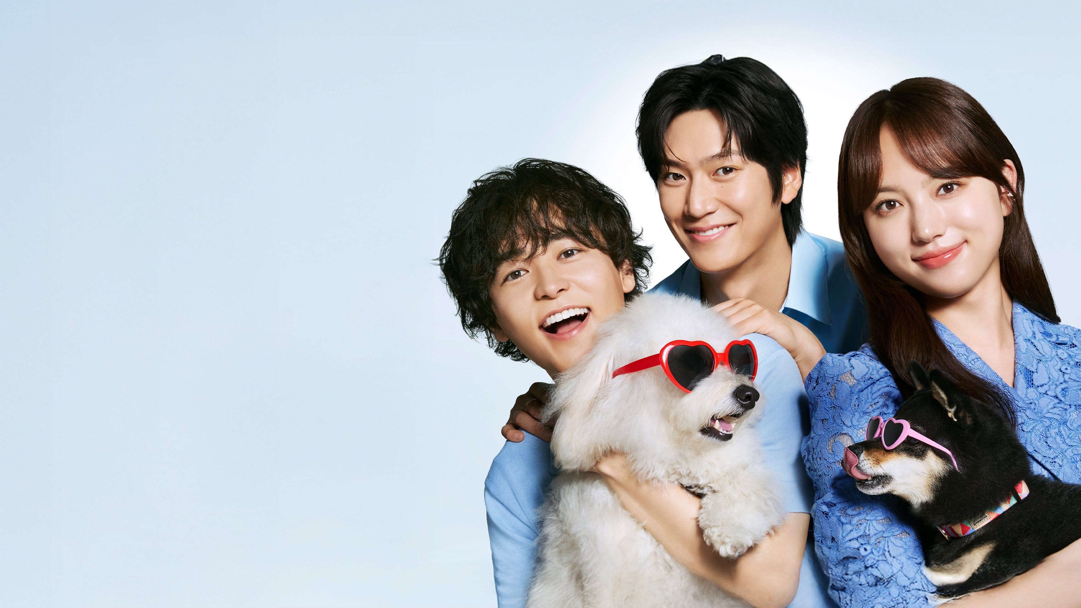 Love is for the Dogs