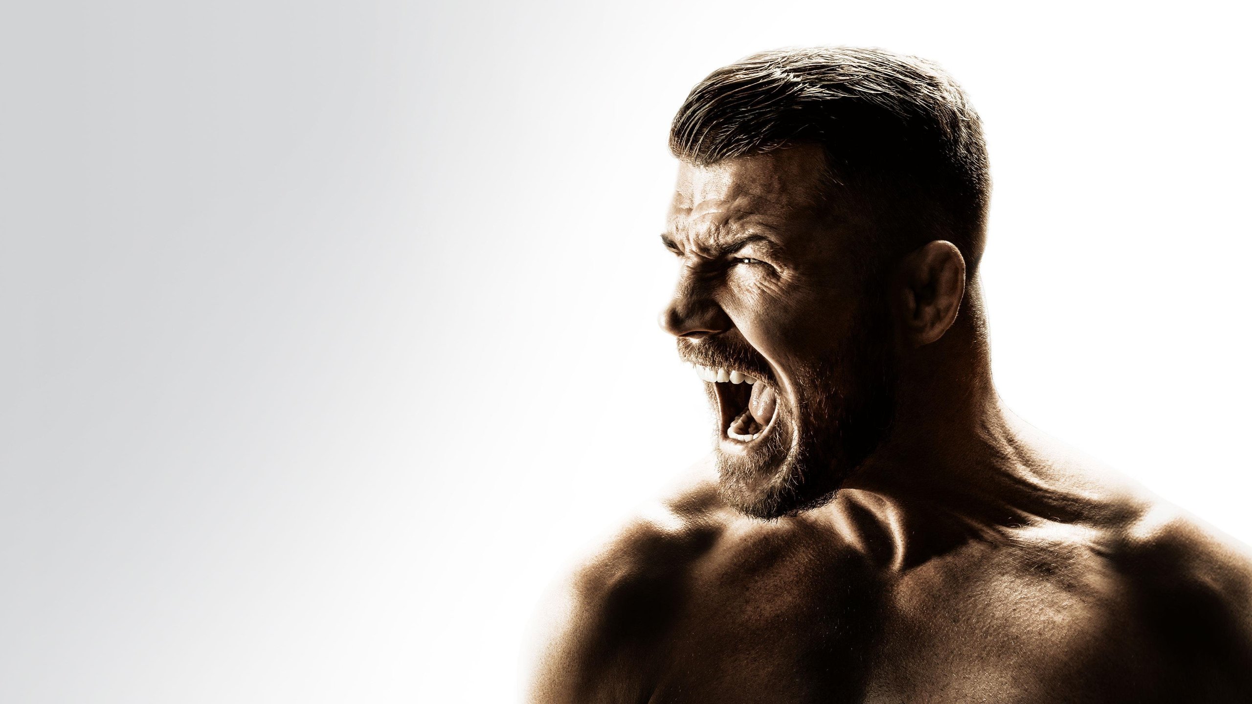 Bisping