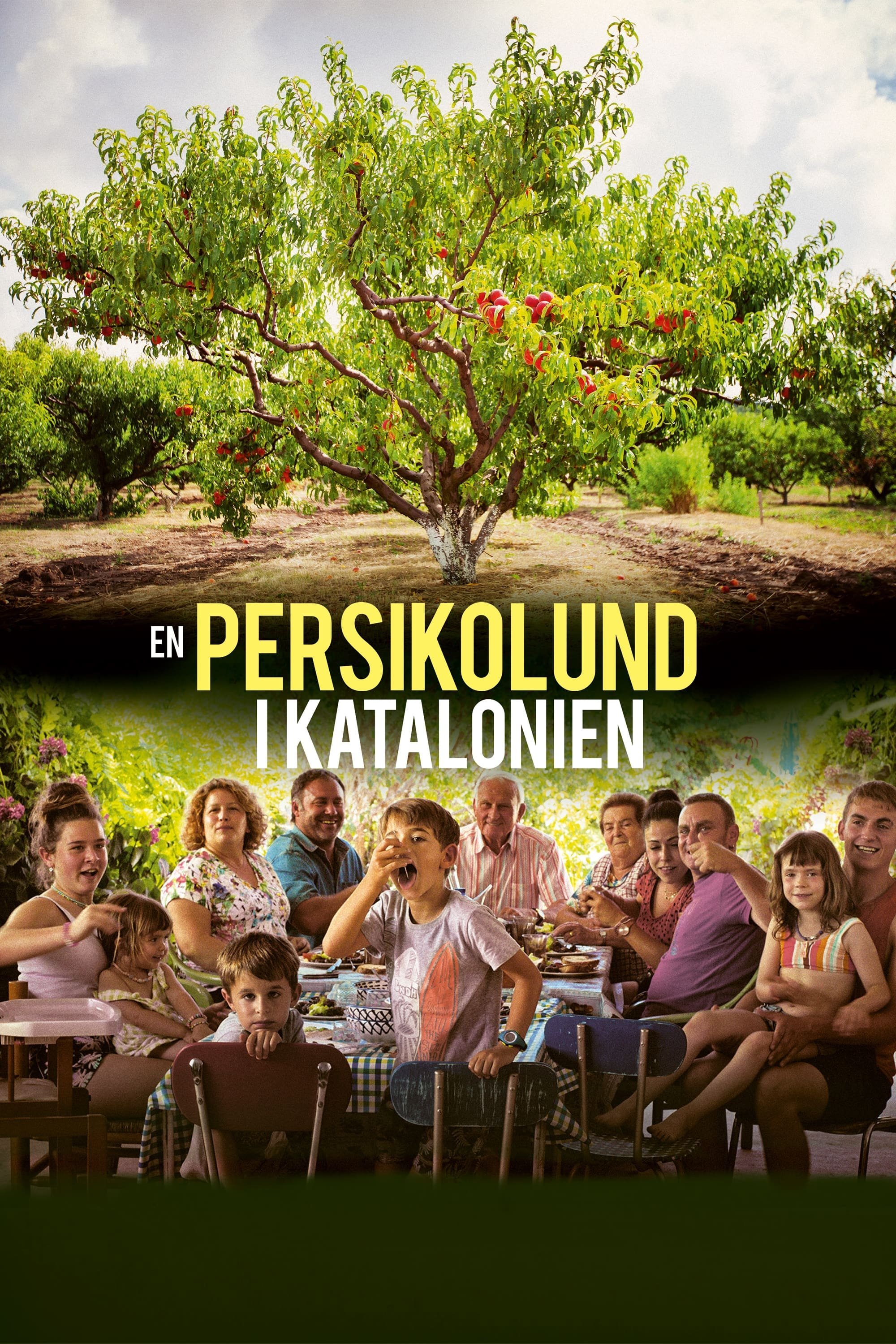 En persikolund i Katalonien