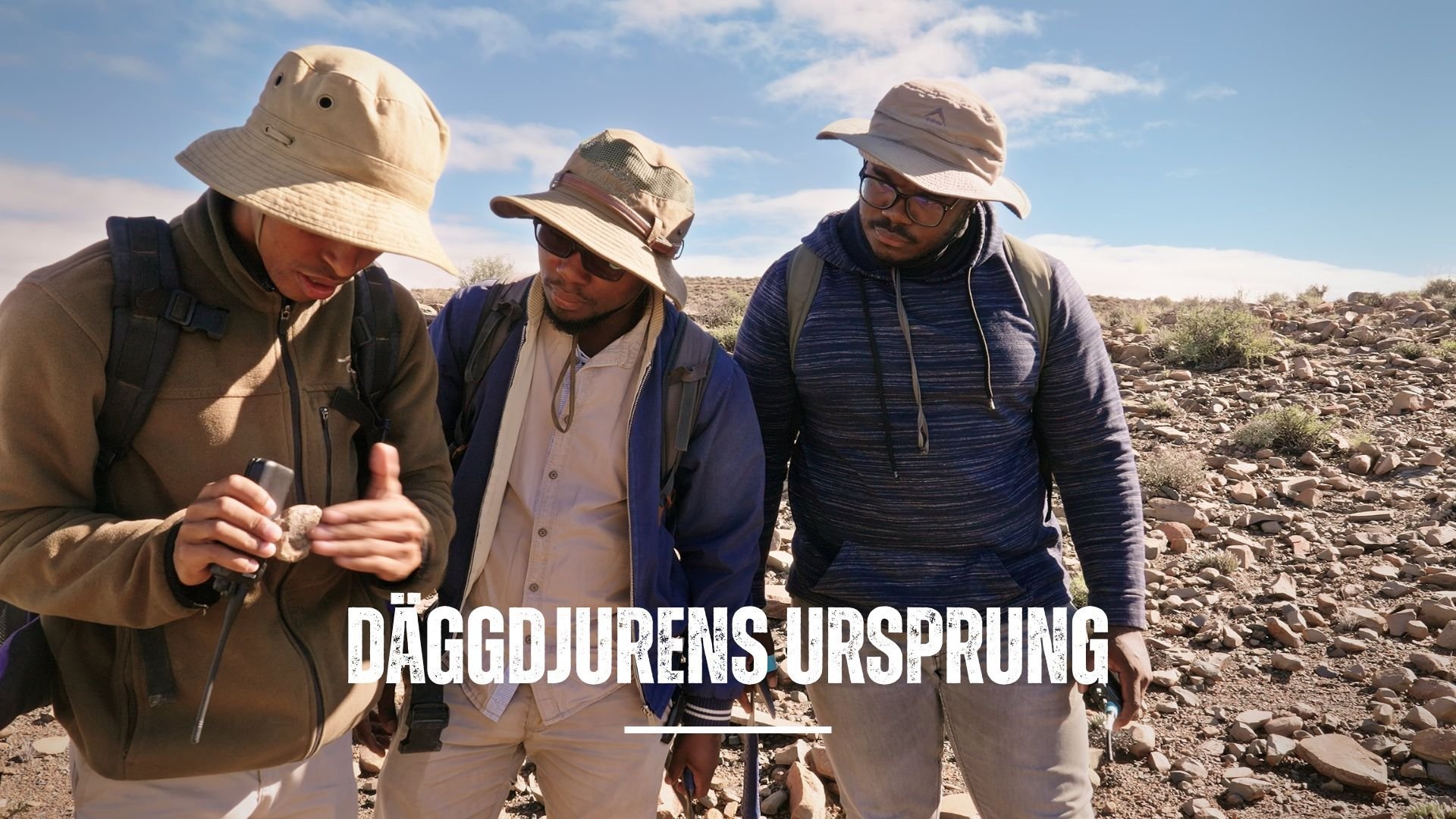 Däggdjurens ursprung