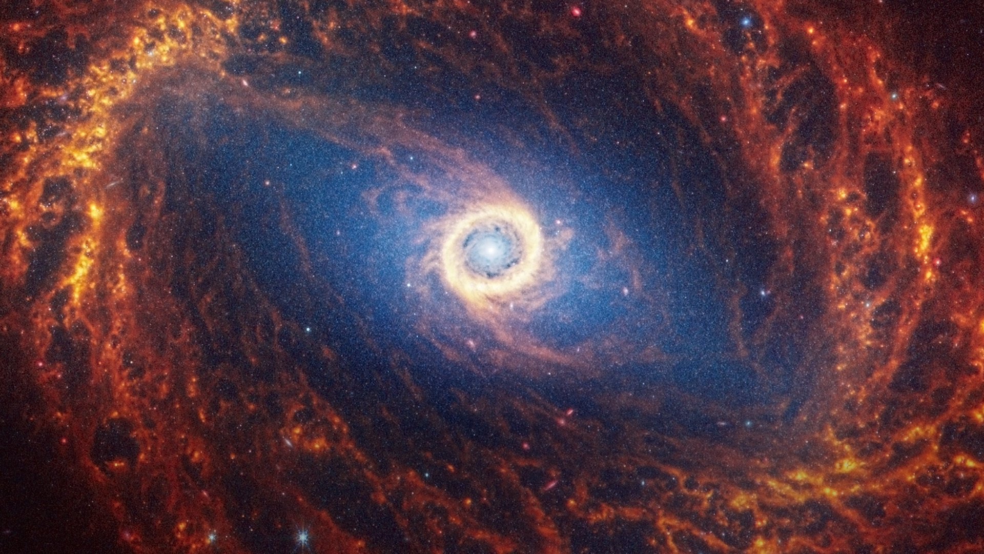 1. Kosmos