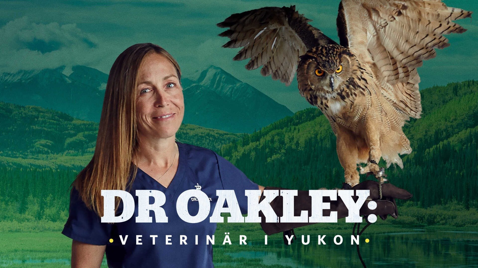 Dr. Oakley, Yukon Vet