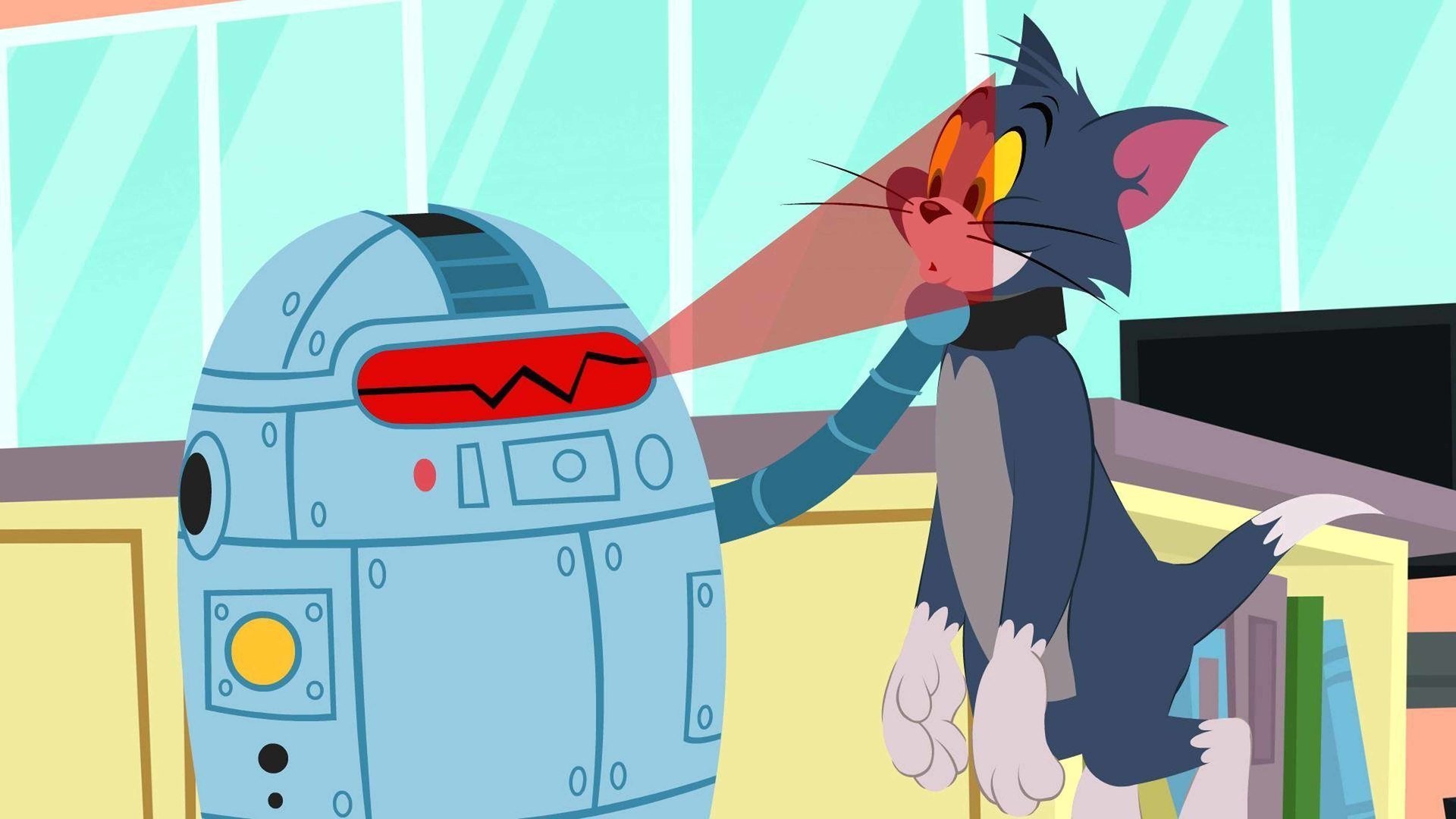 16. Frankenkatt