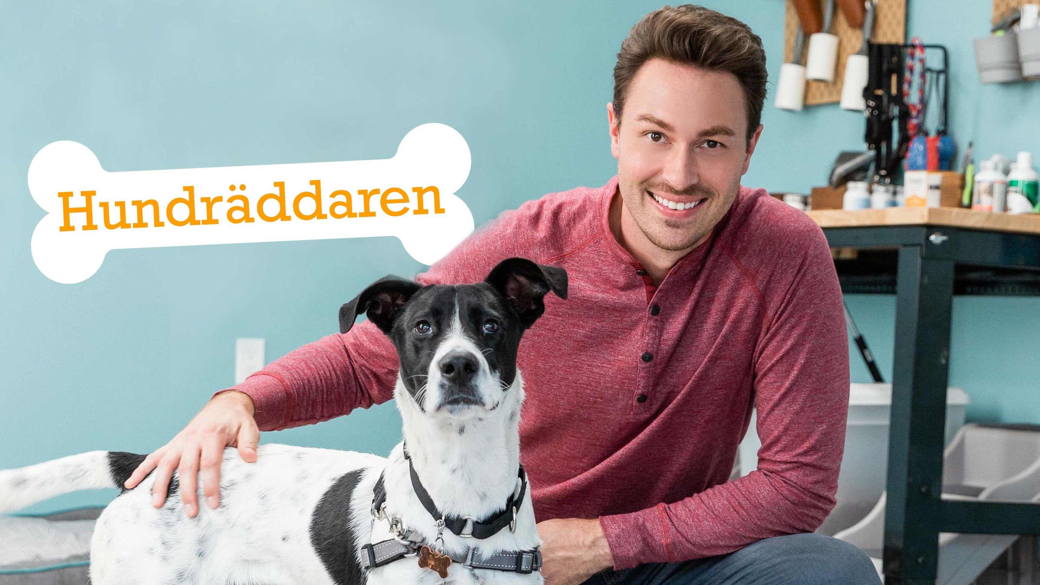 Hundräddaren