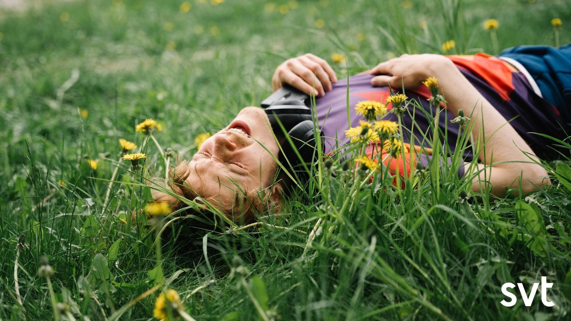 6. In wonderland