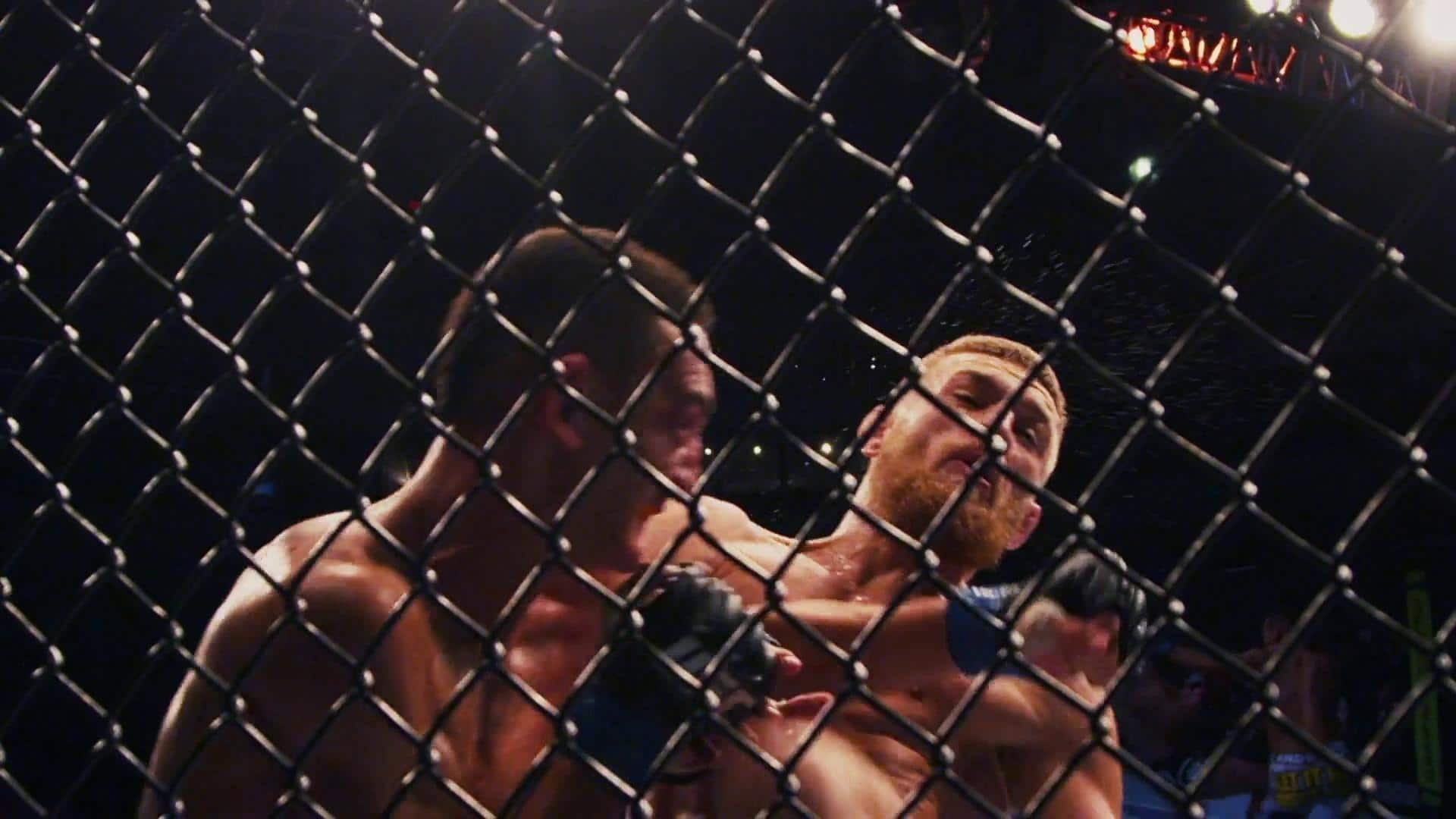 138. UFC Countdown 329