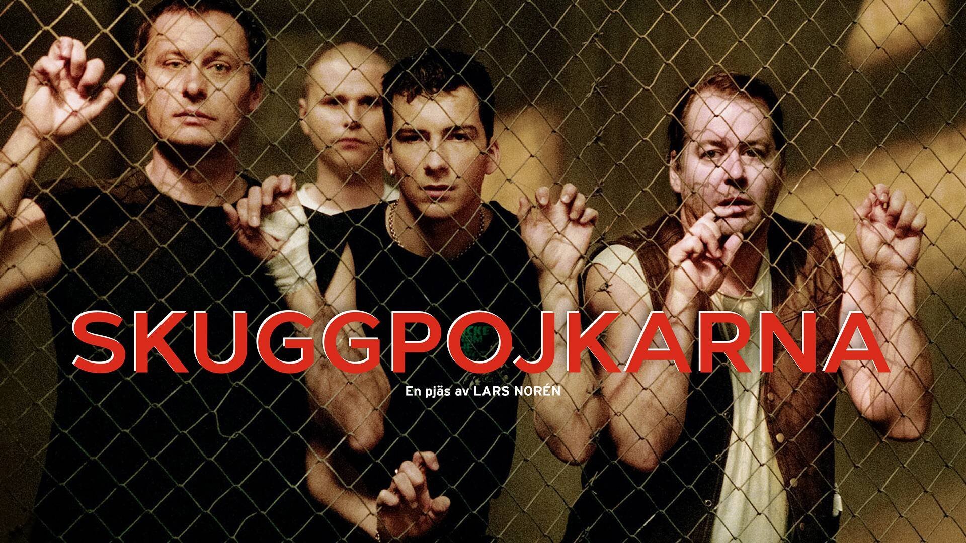 Skuggpojkarna