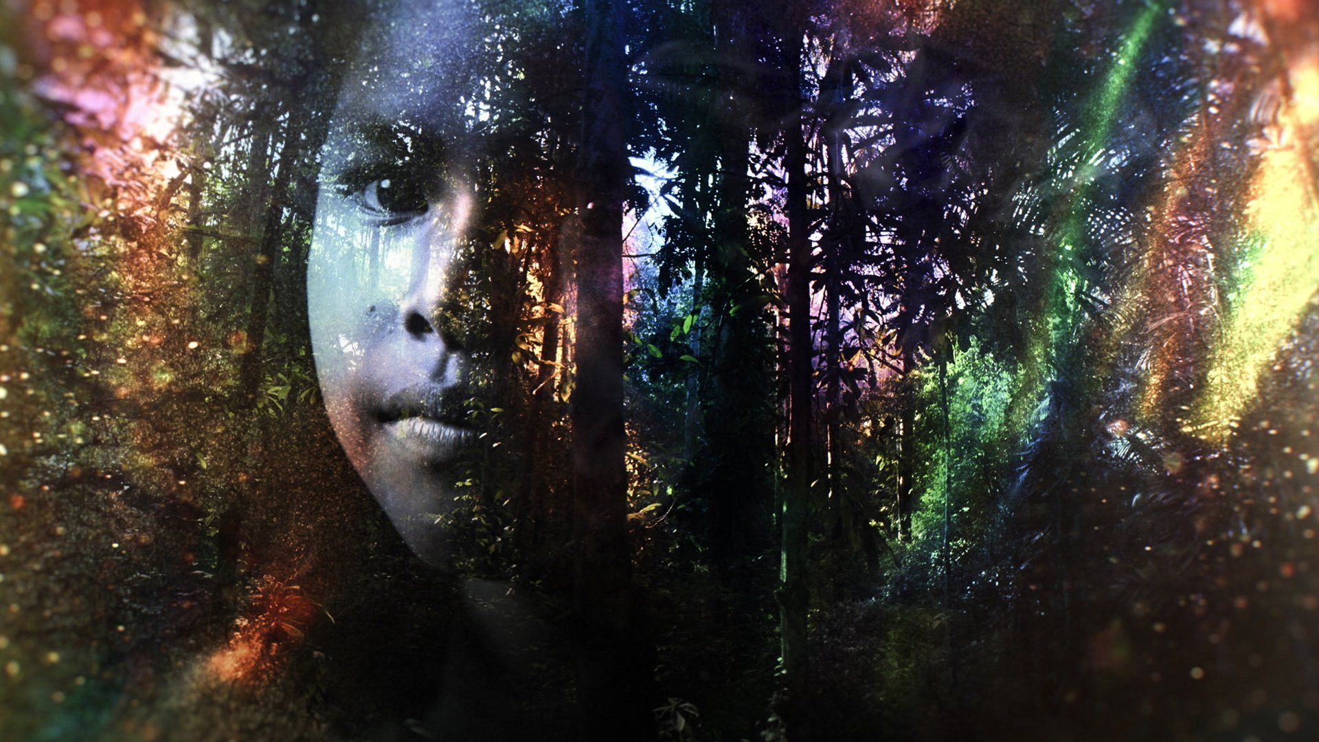 Lost in the Jungle