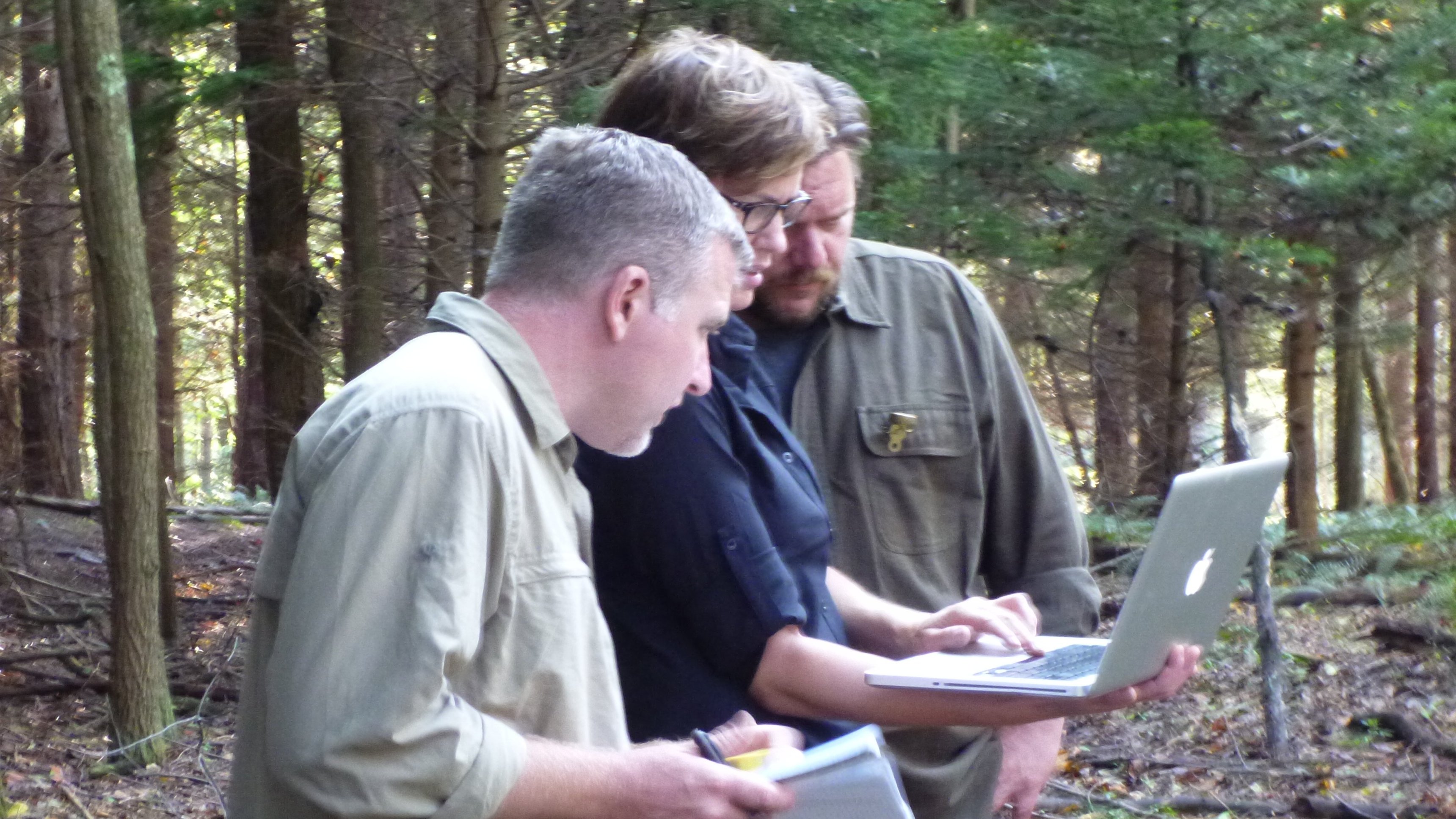 5. Buckeye Bigfoot