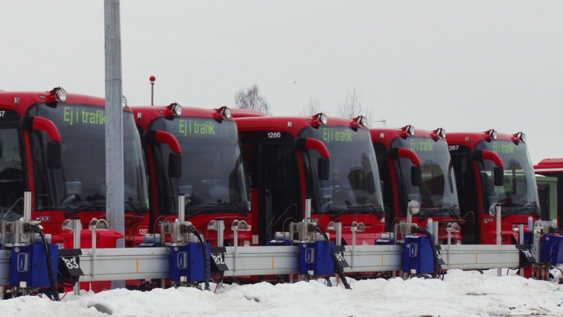 8. Många bussar vilar på bussparkeringen
