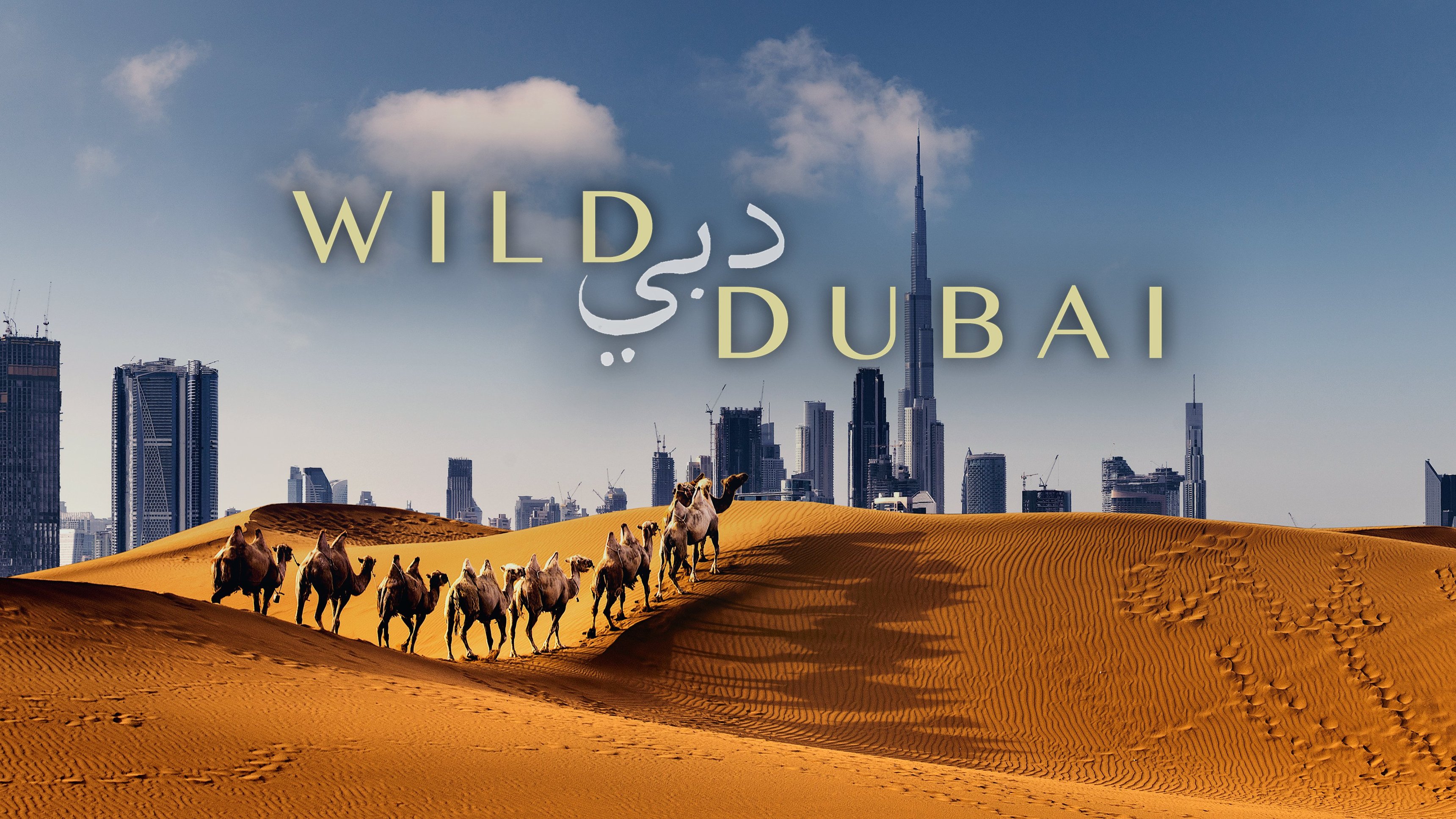 Wild Dubai