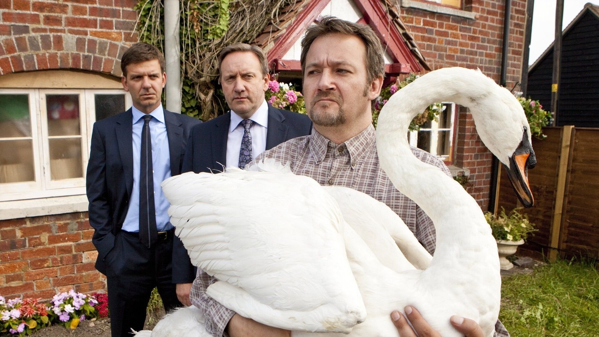 8. A Rare Bird