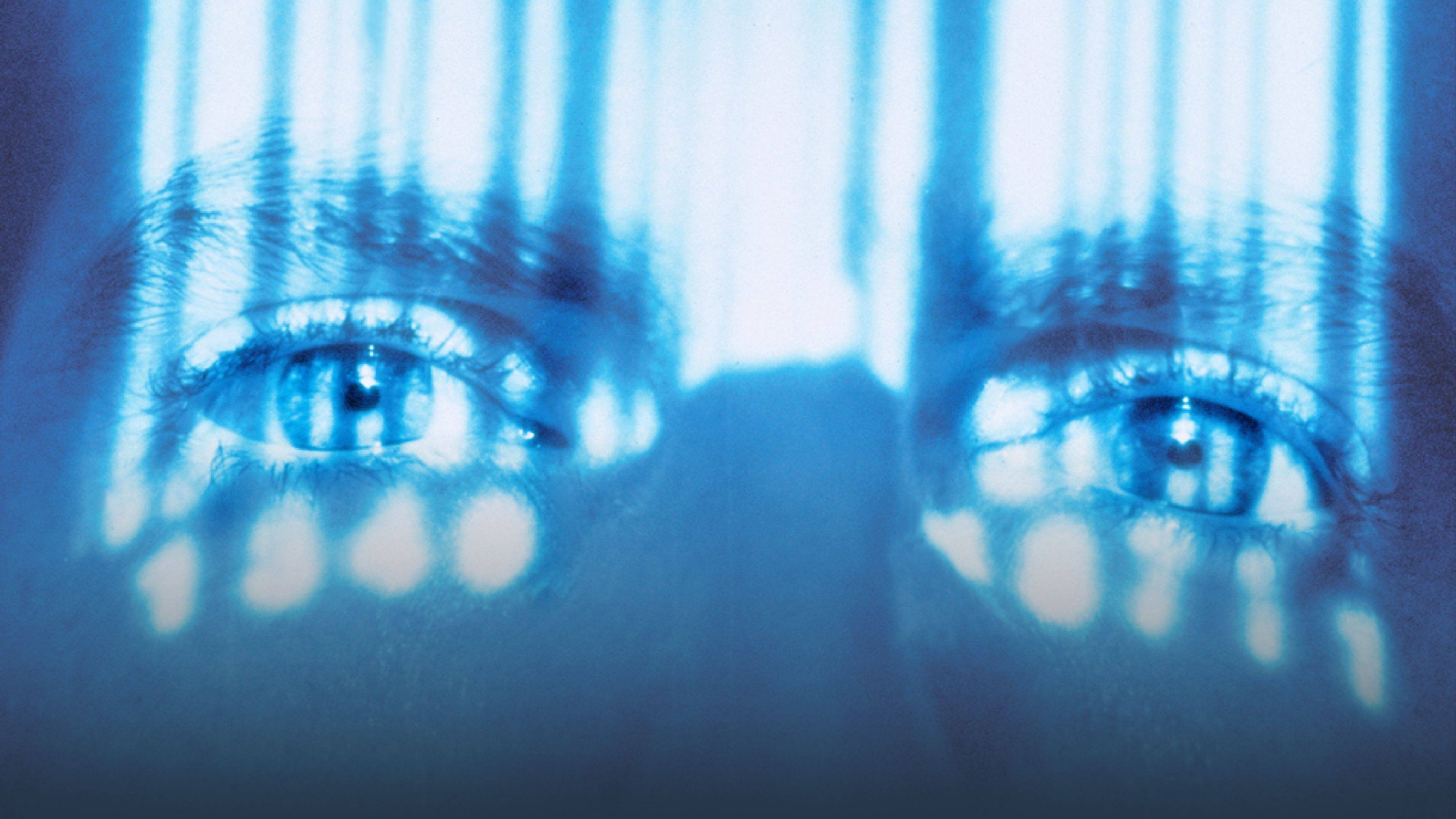 Life Afterlife: America Undercover