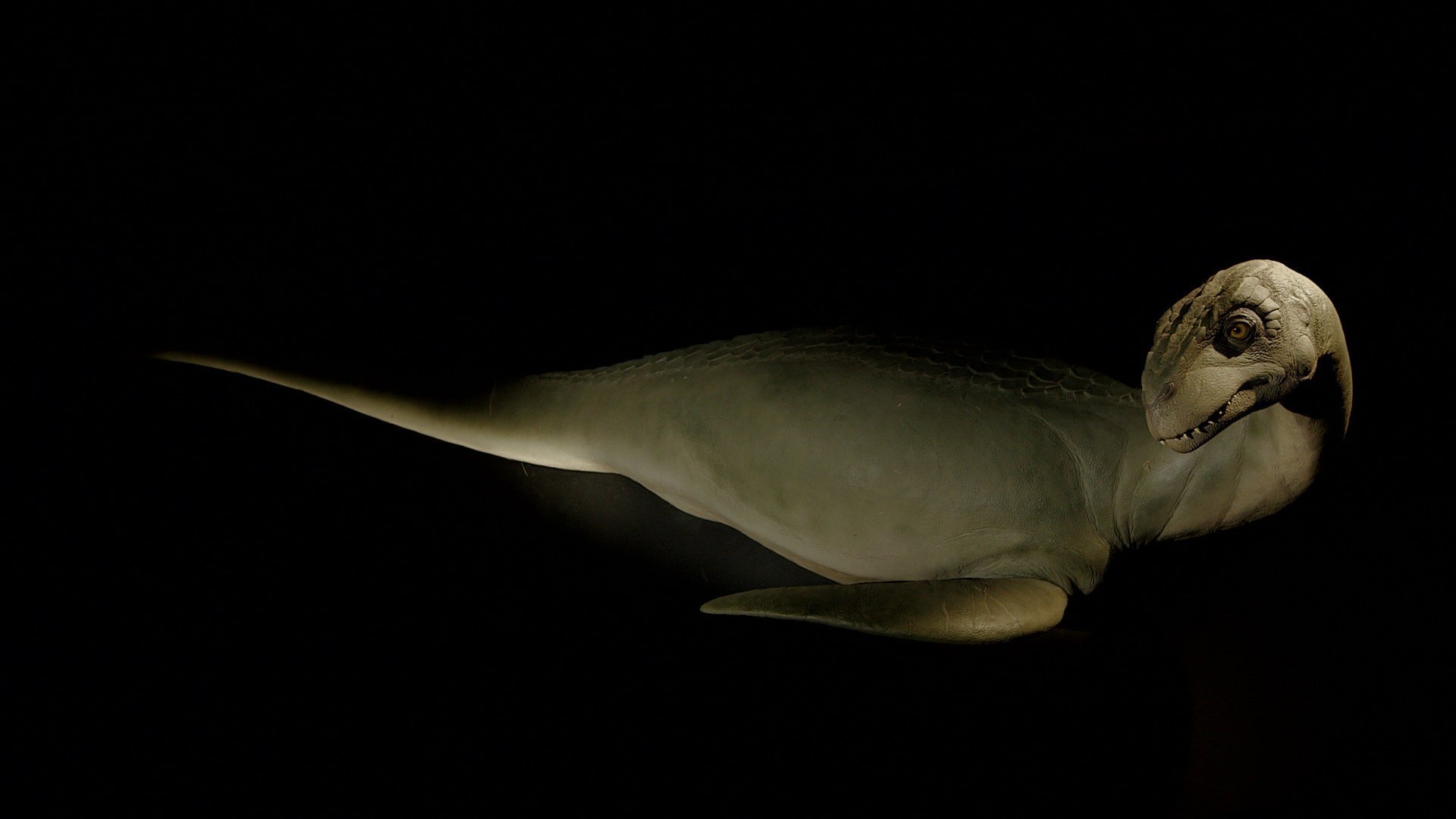 7. Smokey's On Fire And More