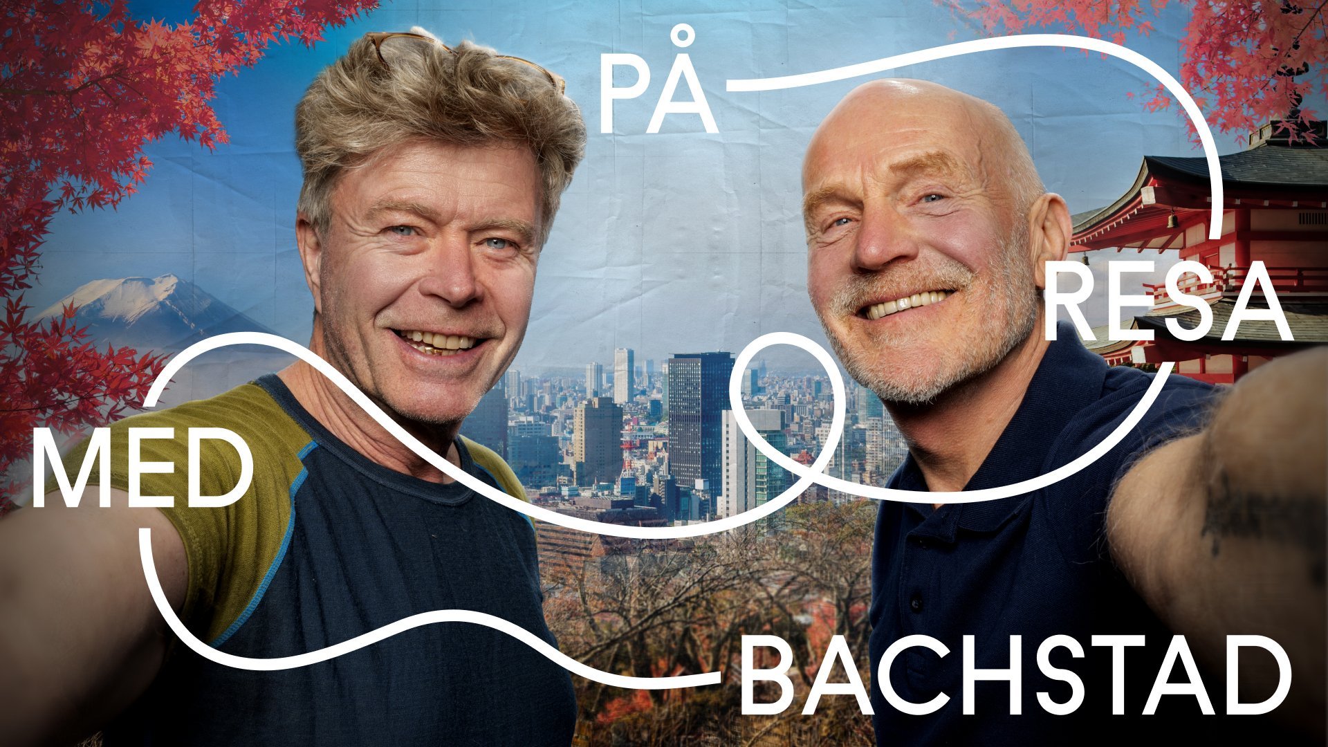 Team Bachstad