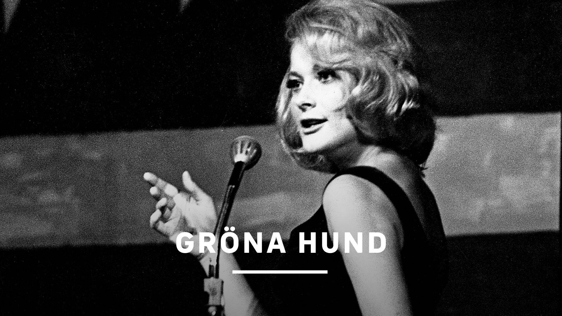 Gröna Hund