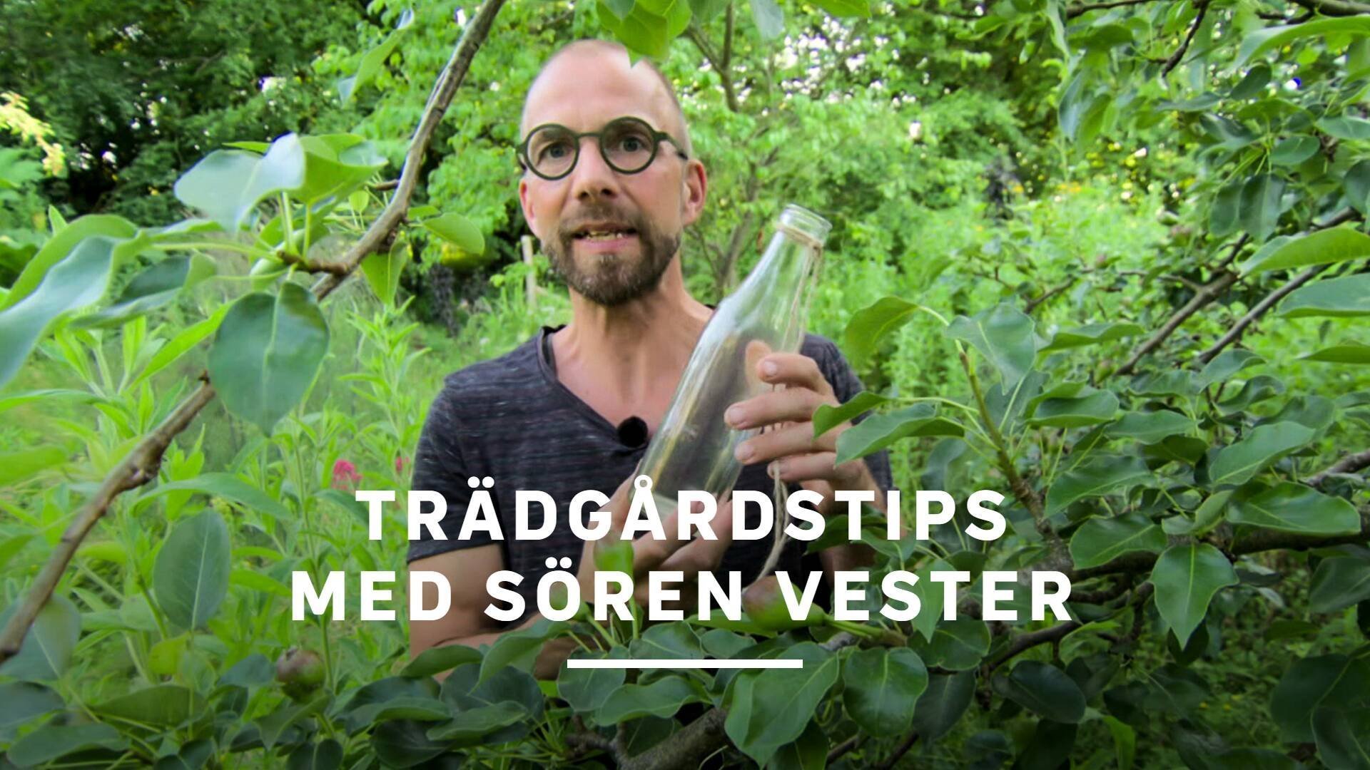 Trädgårdstips med Sören Vester