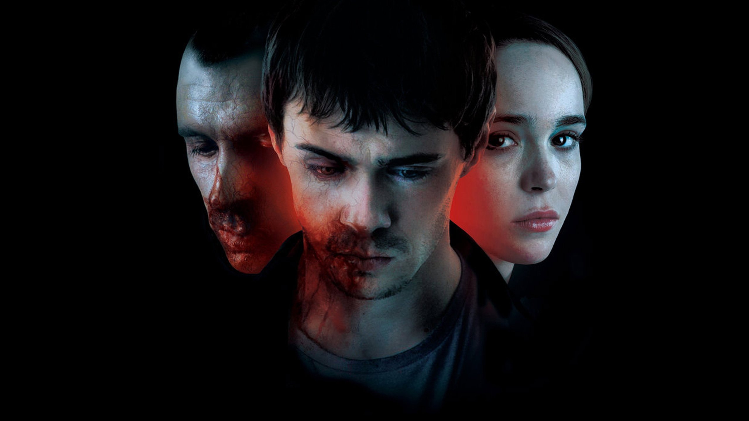 The Cured - Infiziert. Geheilt. Verstoßen.