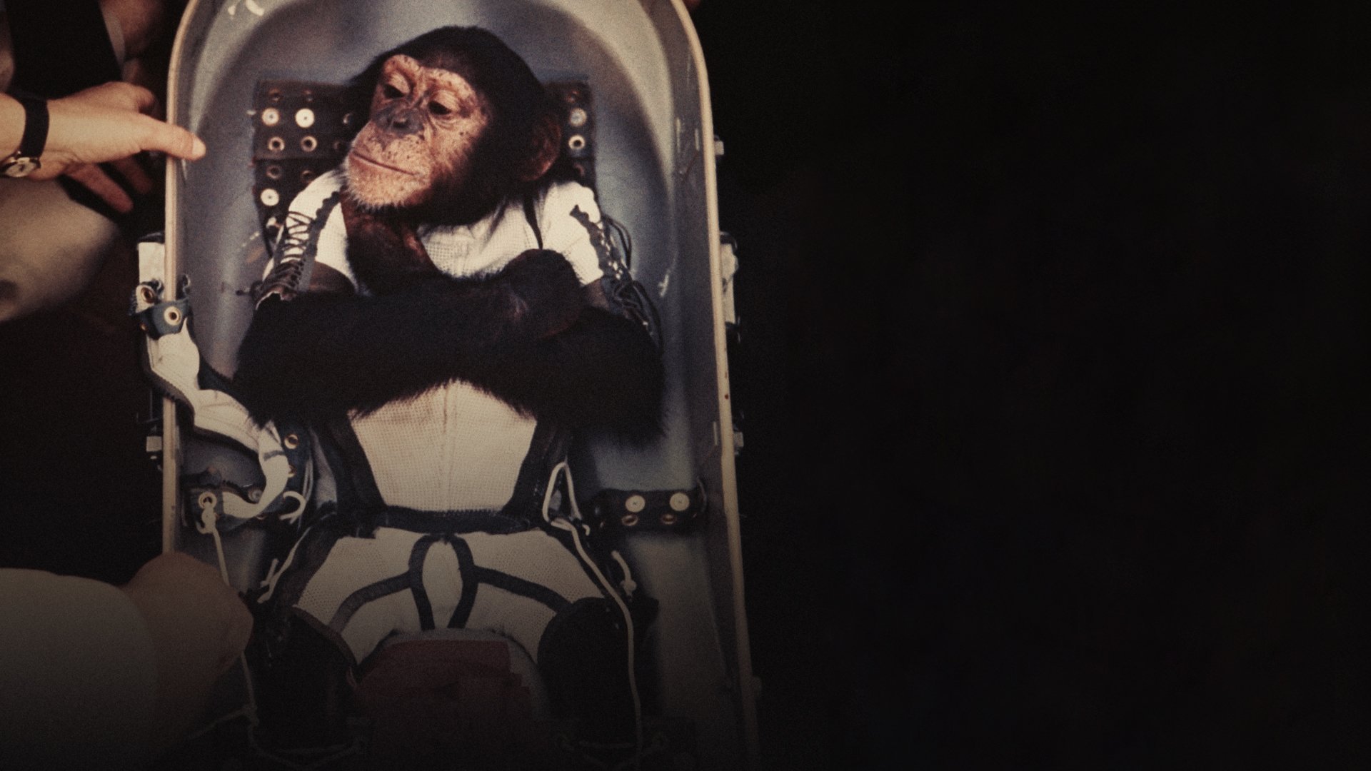 The Conquest of Space