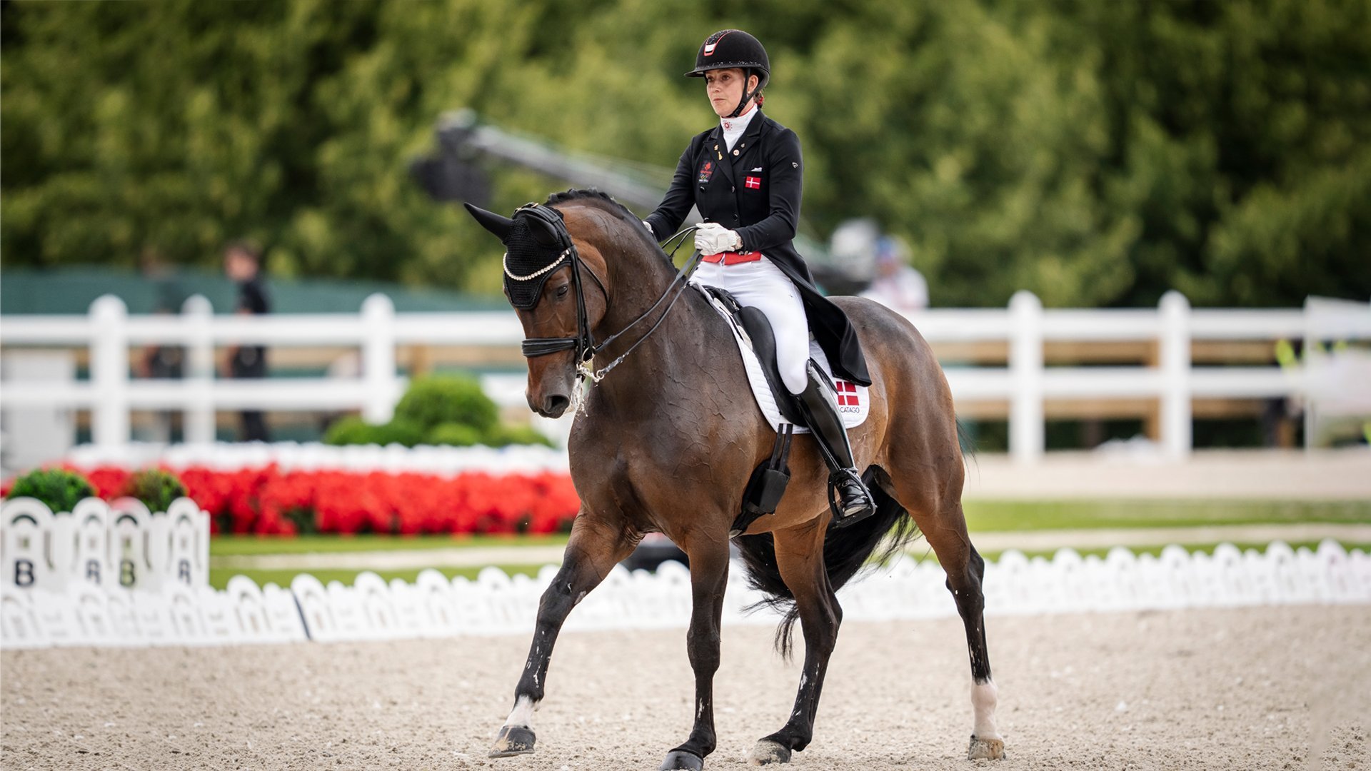 Equestrianism: World Dressage Championship