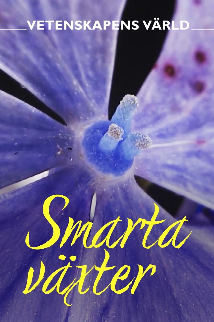 Vetenskapens värld: De smarta växterna