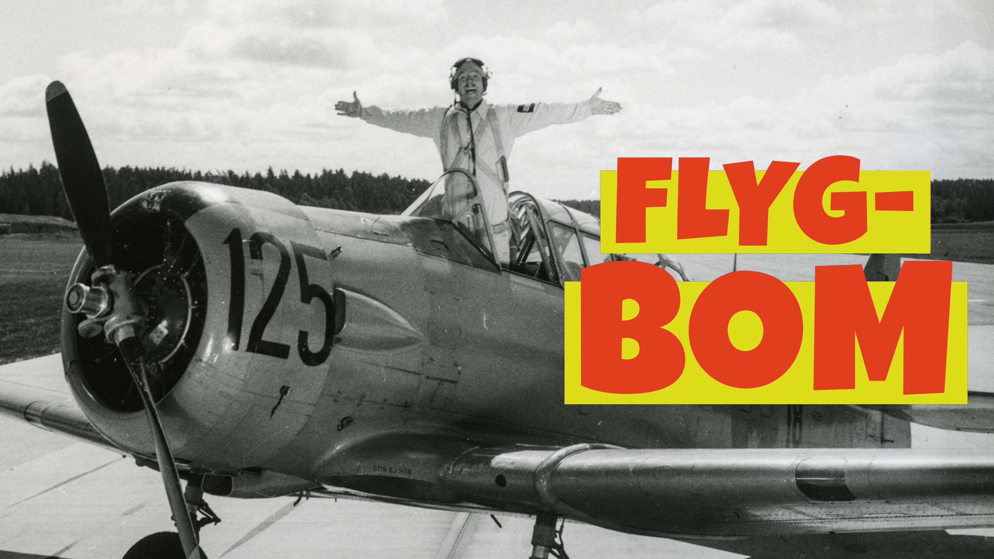 Flyg-Bom