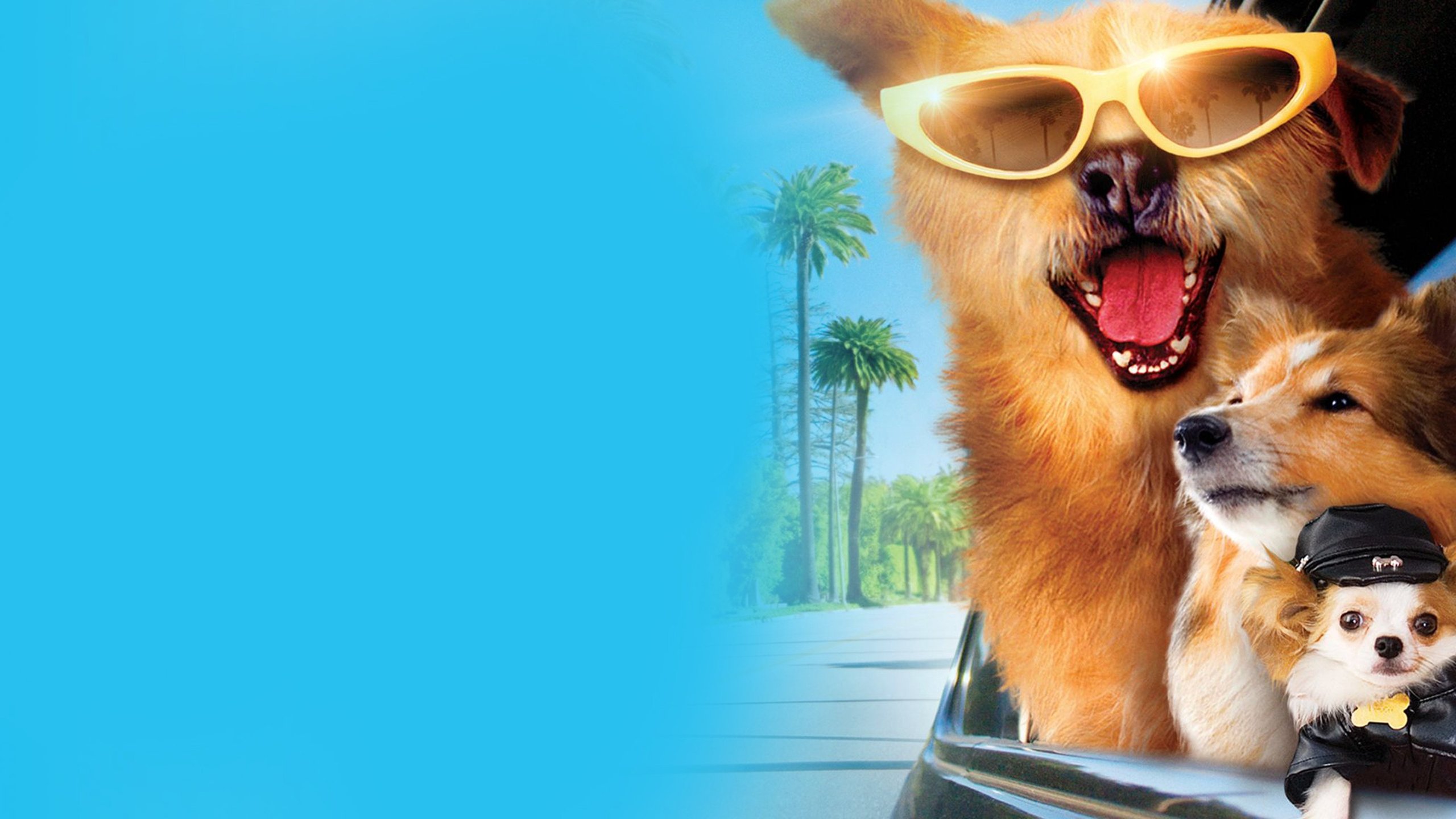 Dr. Dolittle 5 - Lucky gör Hollywood osäkert!