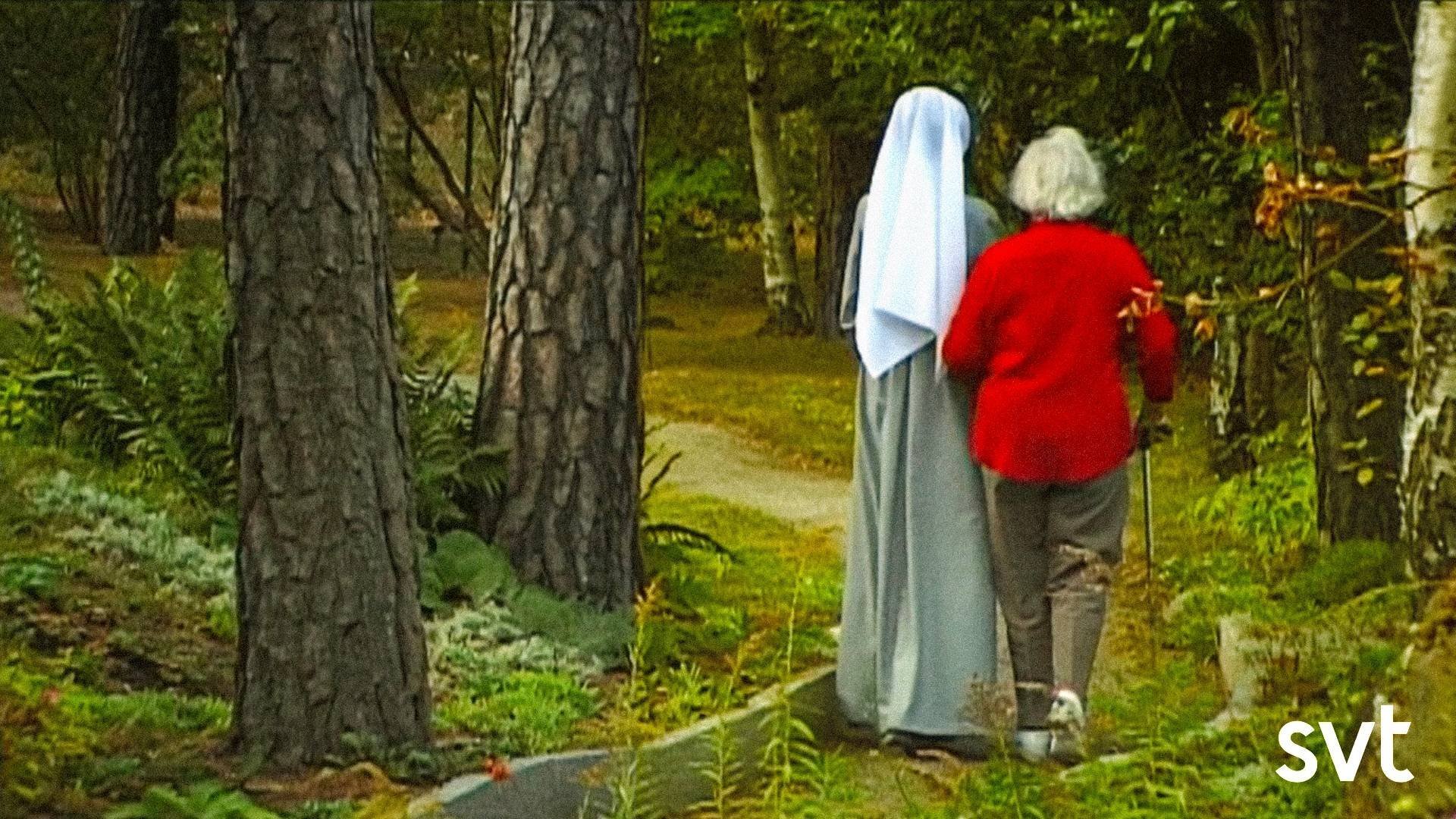 Nunnorna och damerna i Bagarmossen