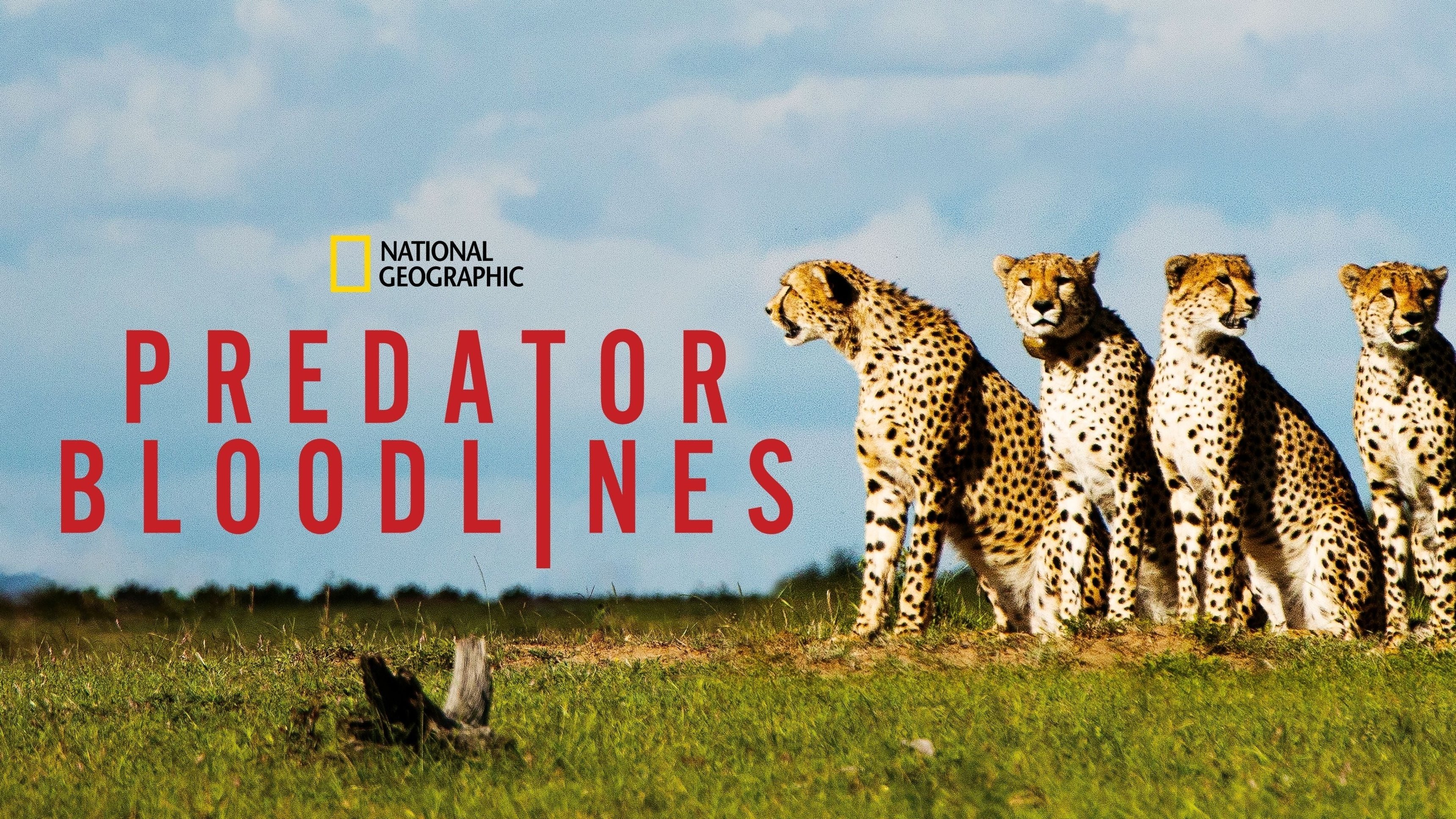 Predator Bloodlines