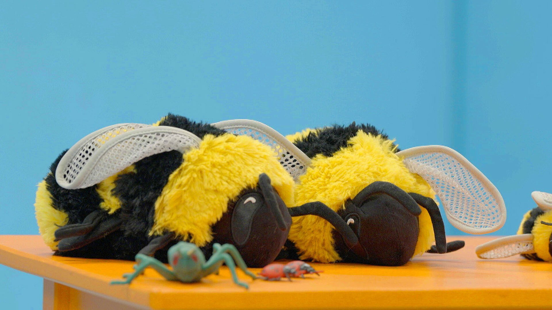 1. Djur: Insekter
