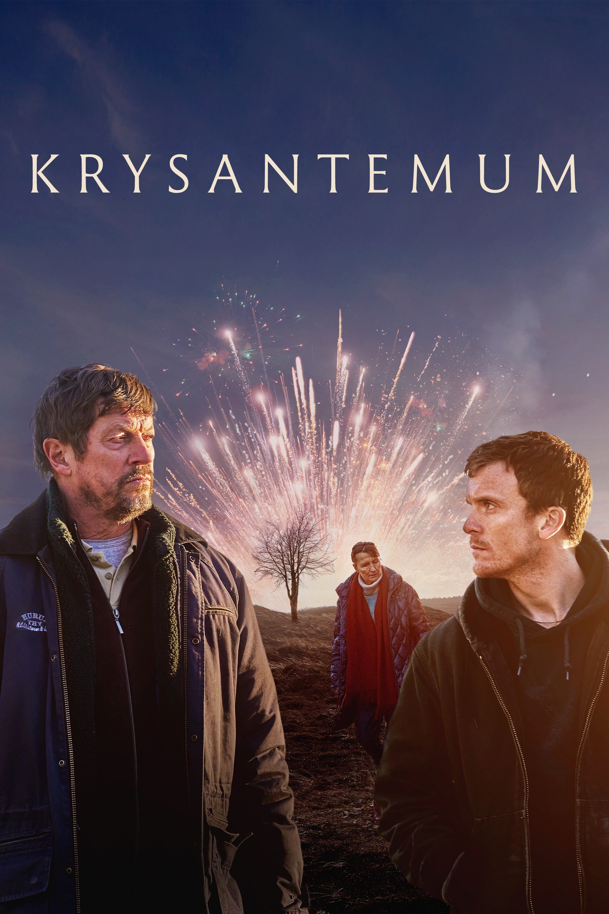 Krysantemum