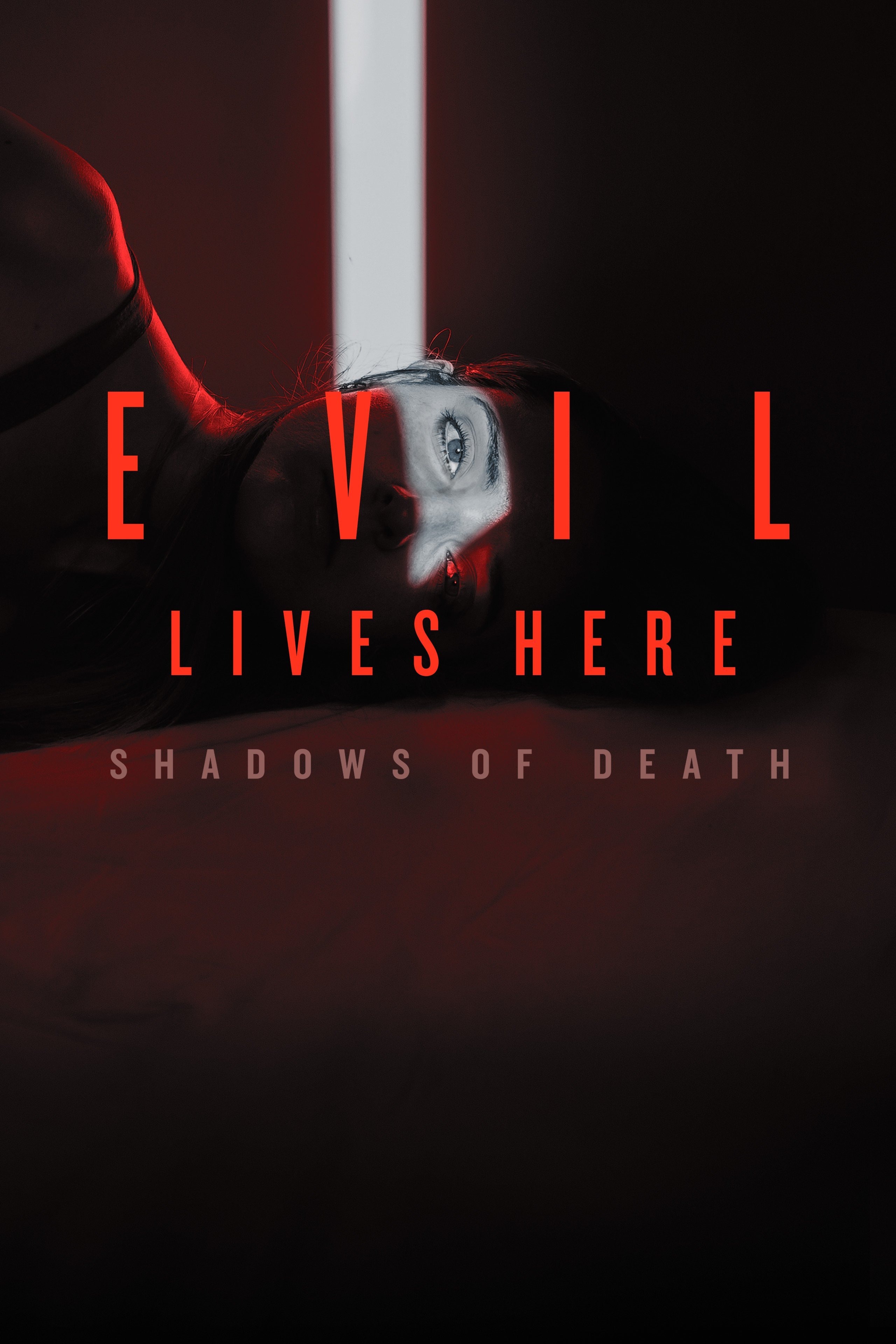 Evil Lives Here: Shadows Of Death