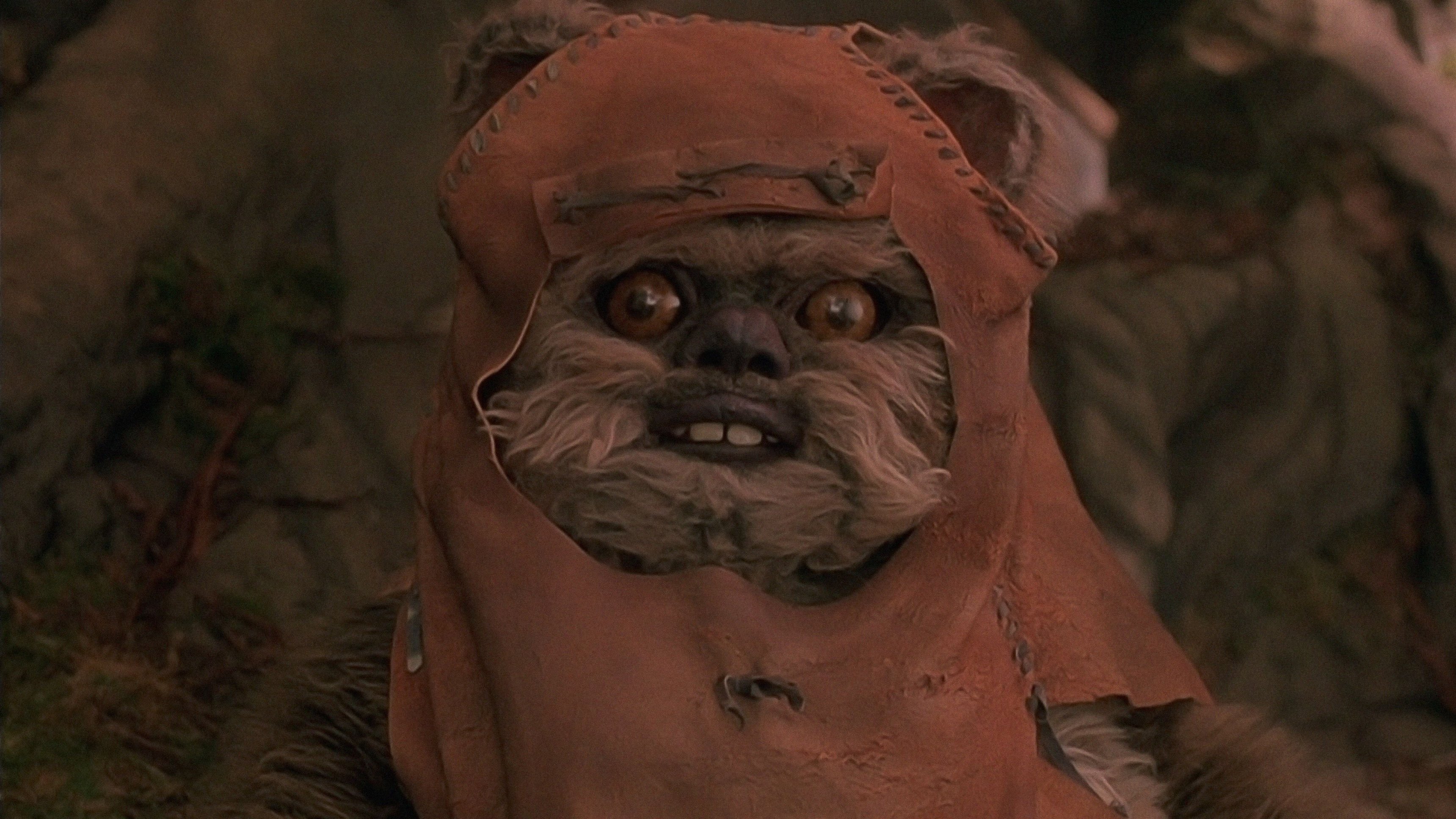 Star Wars Vintage: Ewoks: Flykten från Endor