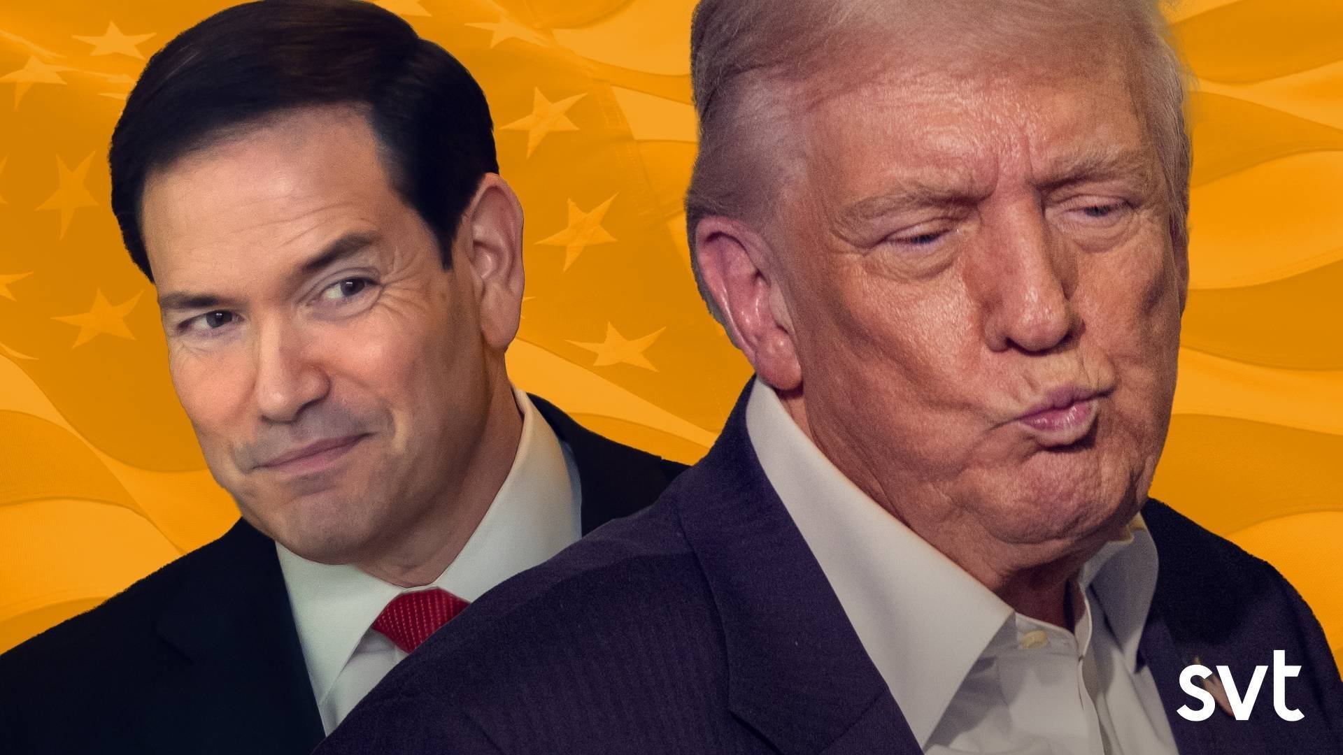 Trumps kronprins?