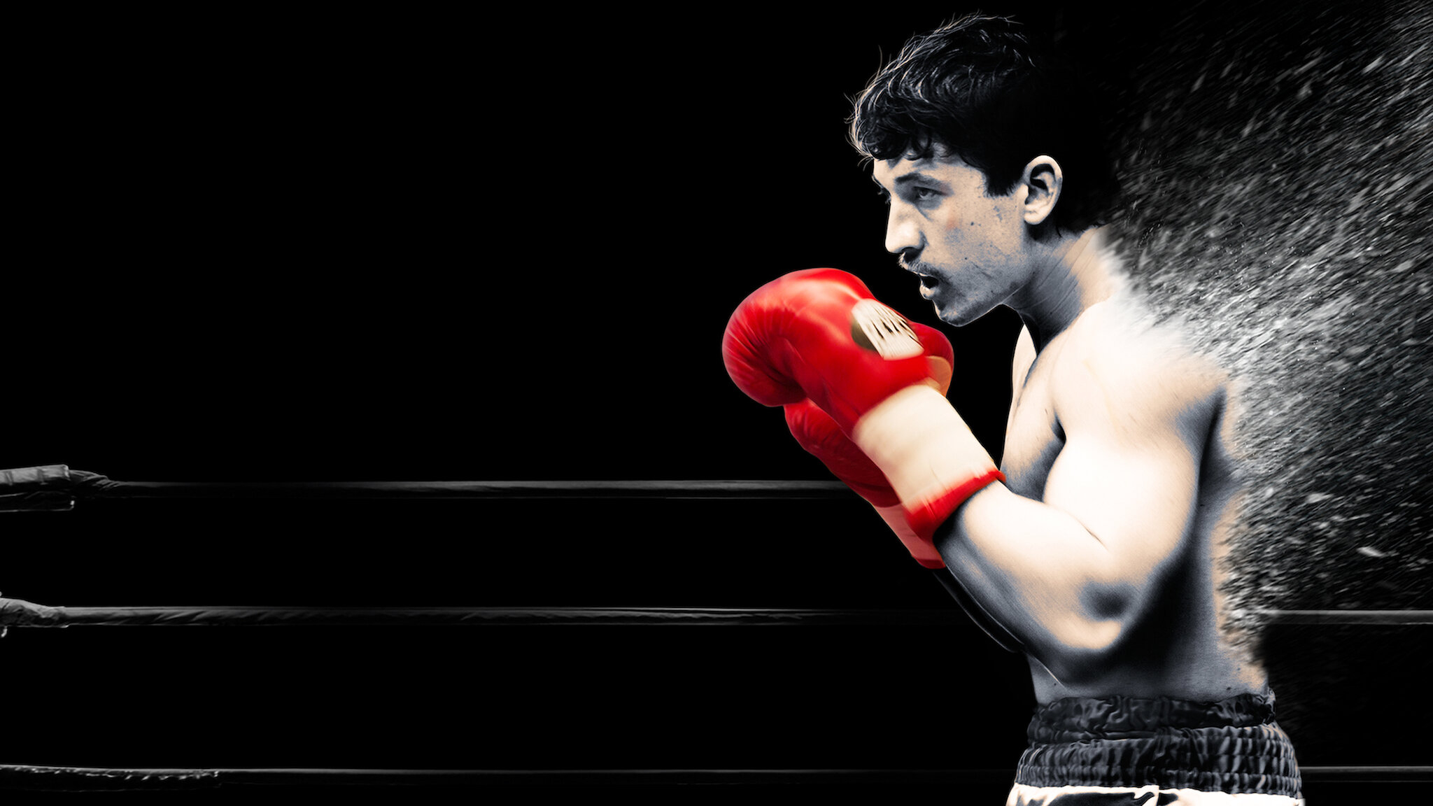 Bleed for This