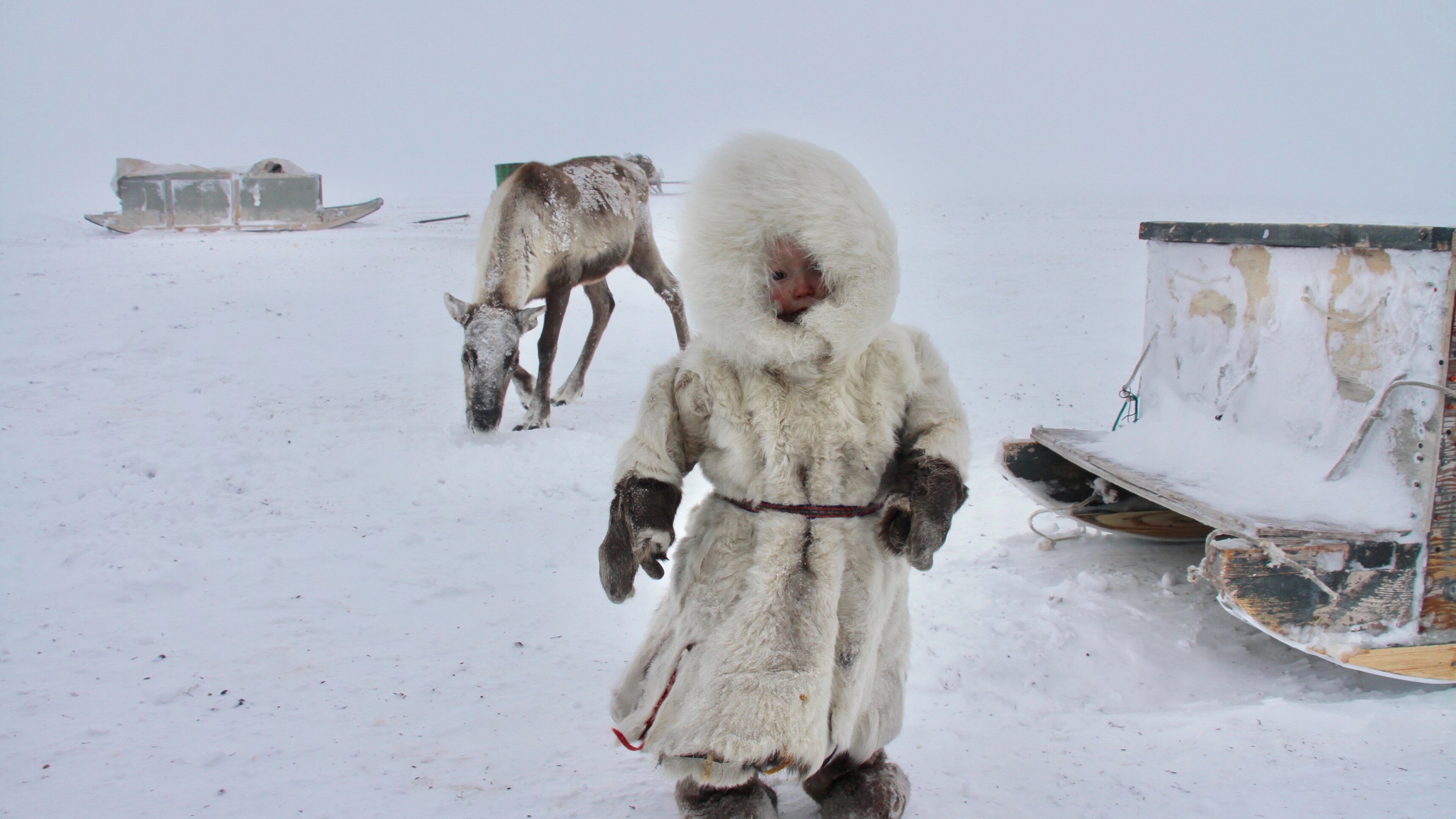 Kalla fakta: Resan till världens ände